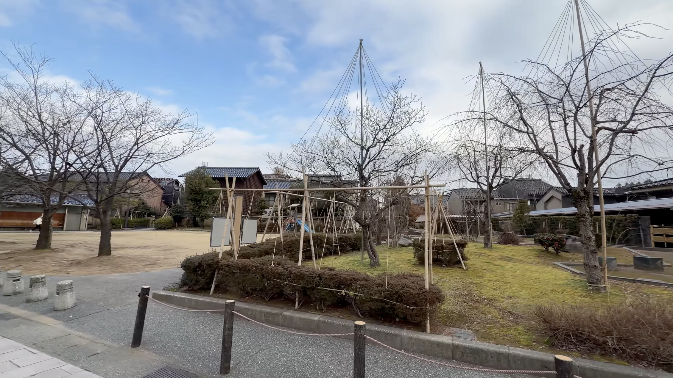 東山河岸緑地の広場、雪吊りされた木々と芝生、奥に町家の屋根が見える