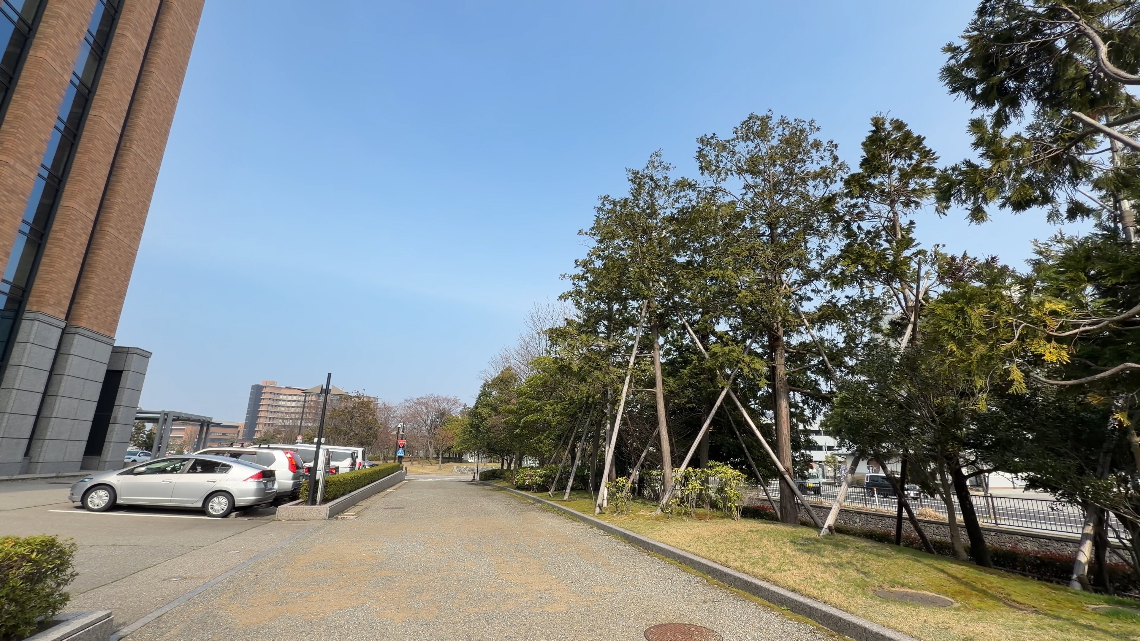 庁舎脇の駐車場と若木の並ぶ緑地、奥に鞍月セントラルパーク方面