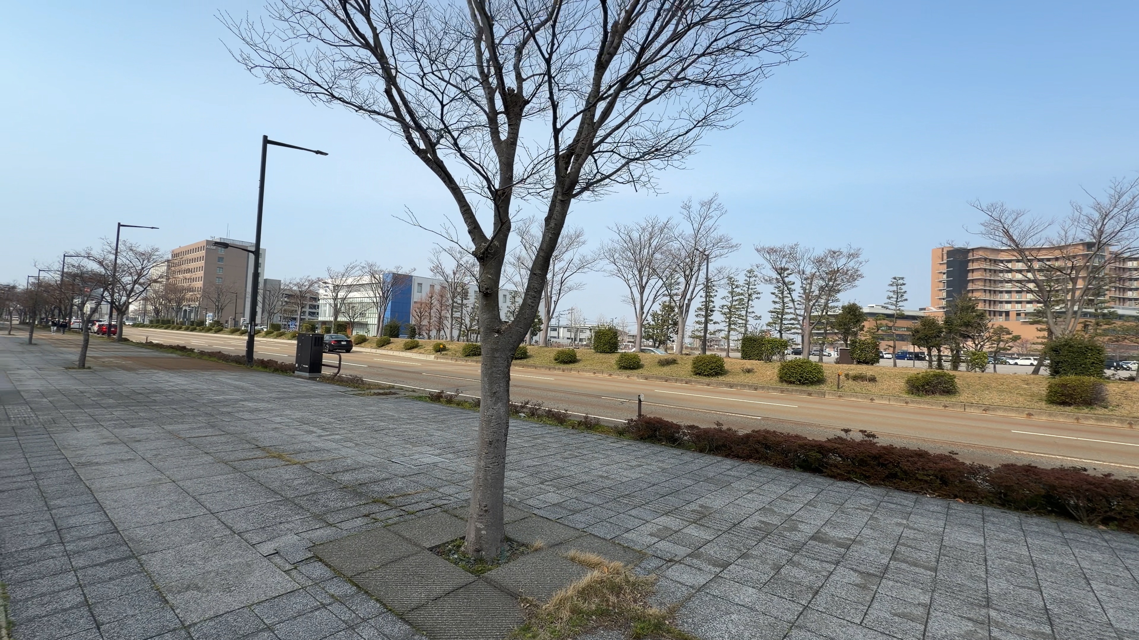 石畳の歩道、50m道路沿いに続く整った街並み