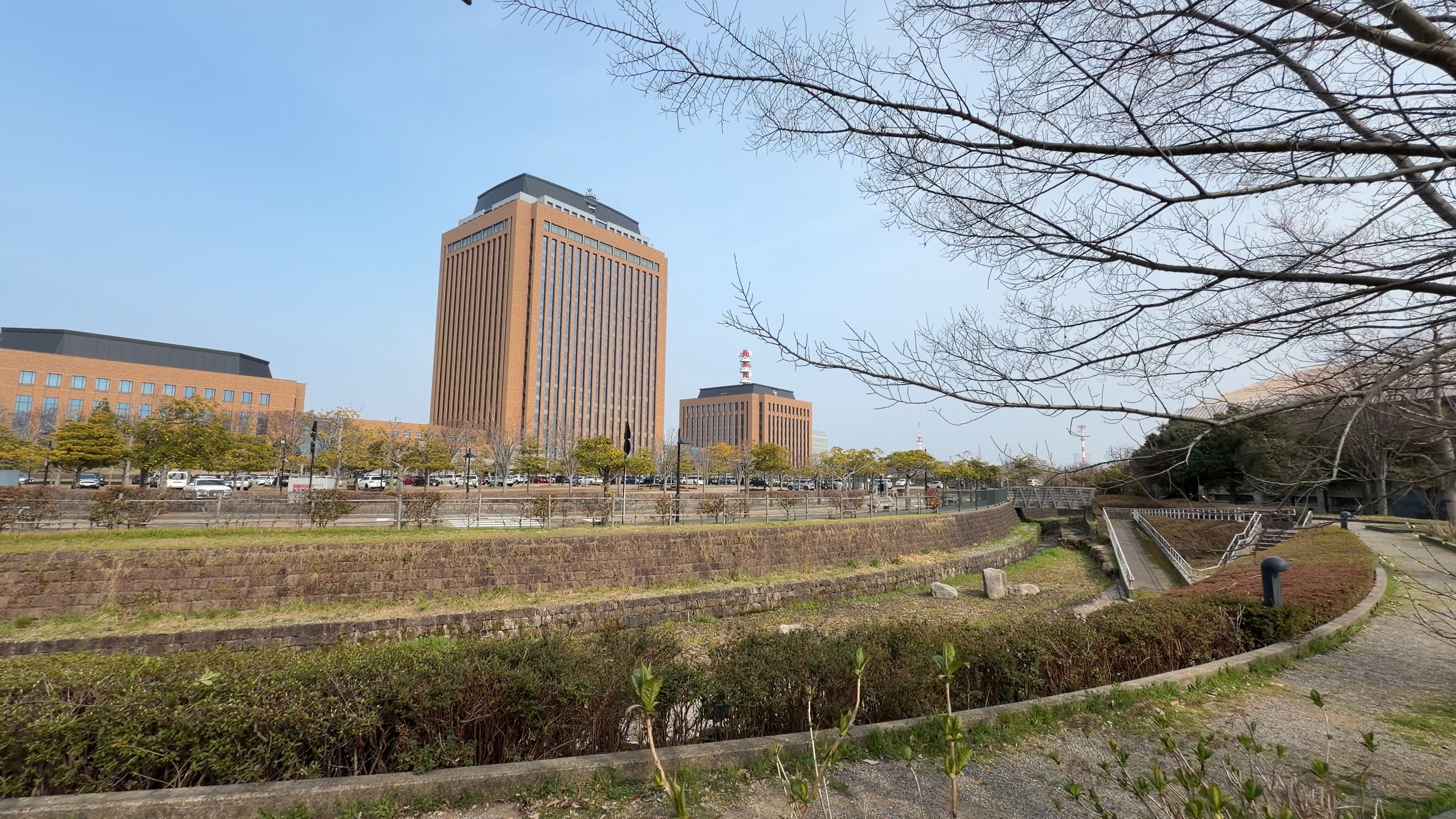 「ふるさとの庭」周辺の緑地、奥に木の橋が見える