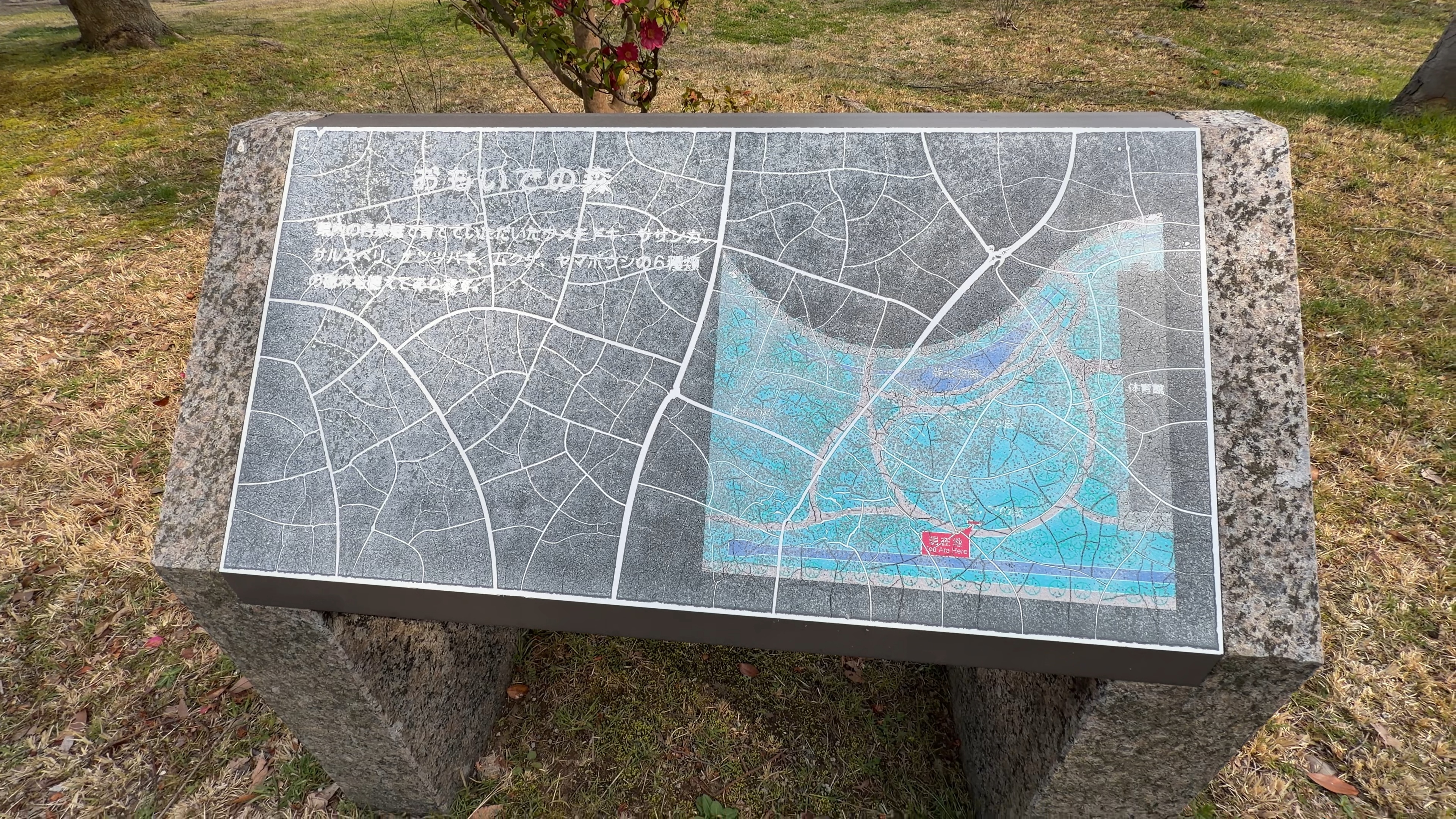 「おもいでの森」と書かれた案内板