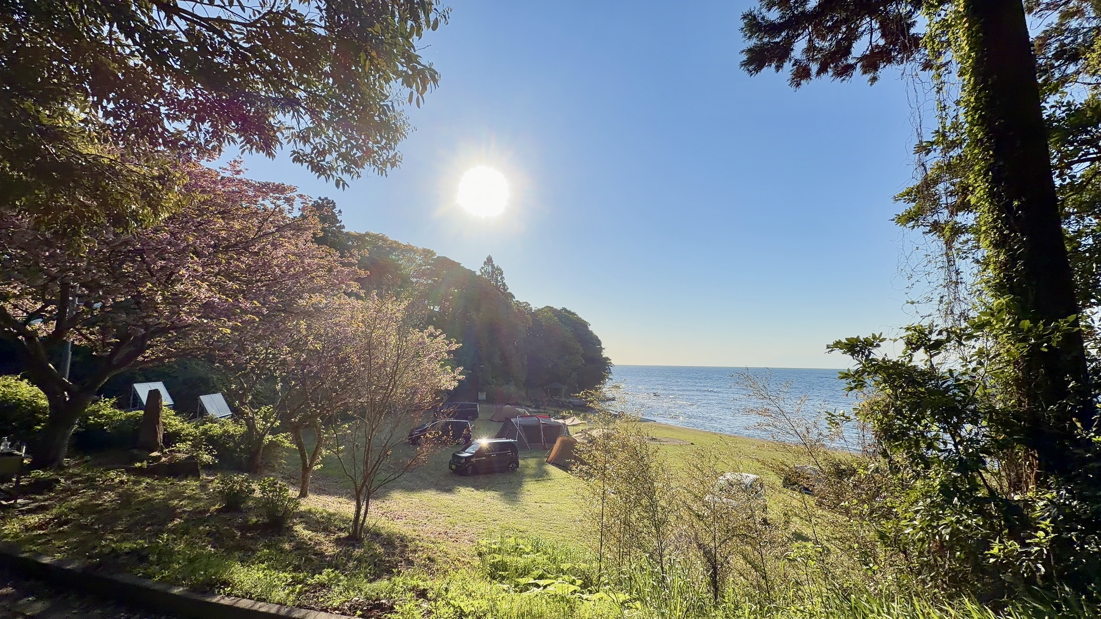 九十九湾キャンプ場にテントが並ぶ朝の景色