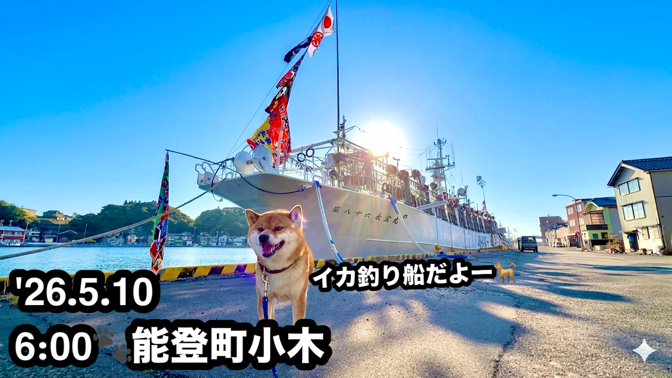 小木港のイカ釣り船と大漁旗
