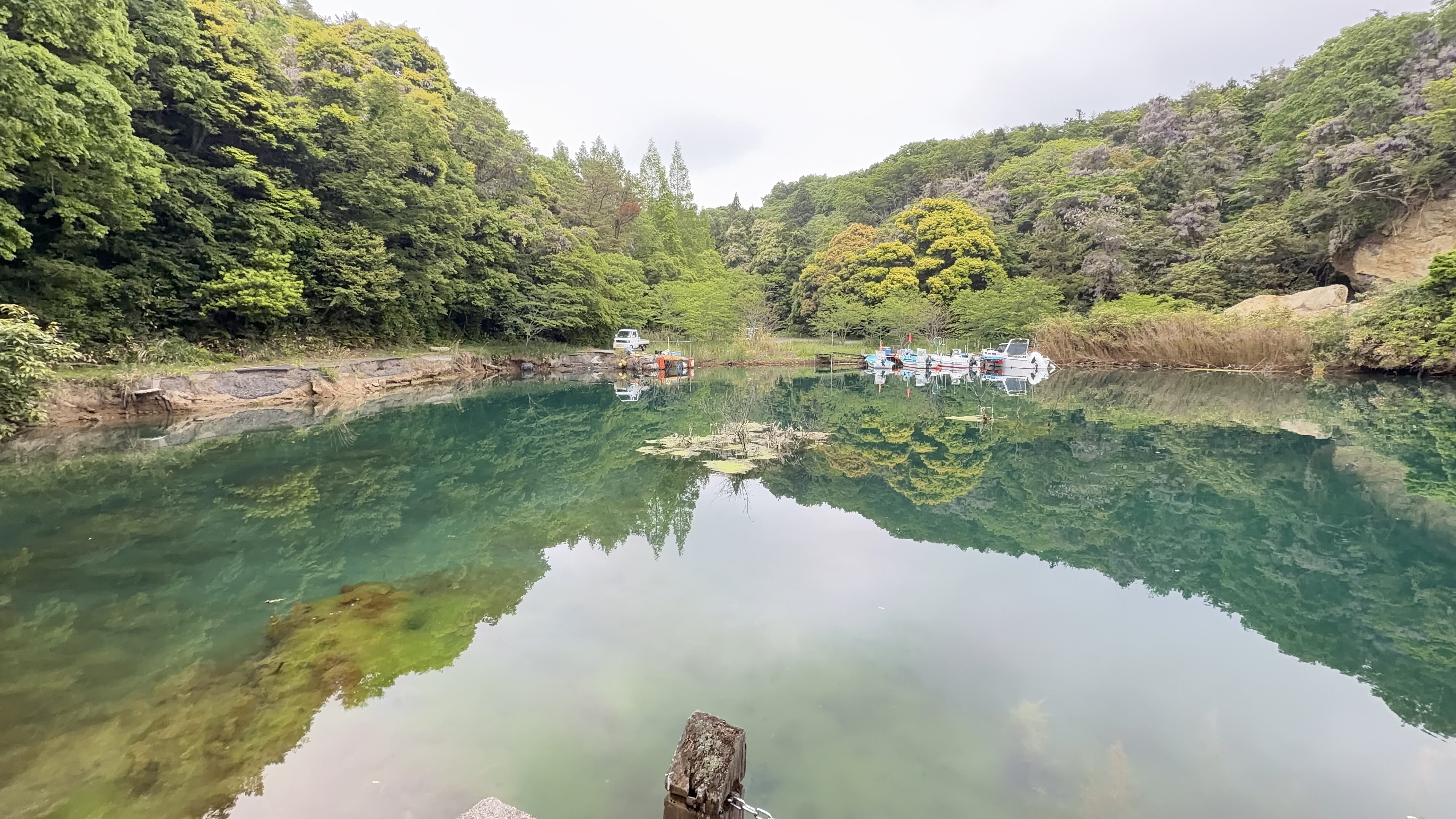 鏡のように木々が映り込む九十九湾の入り江