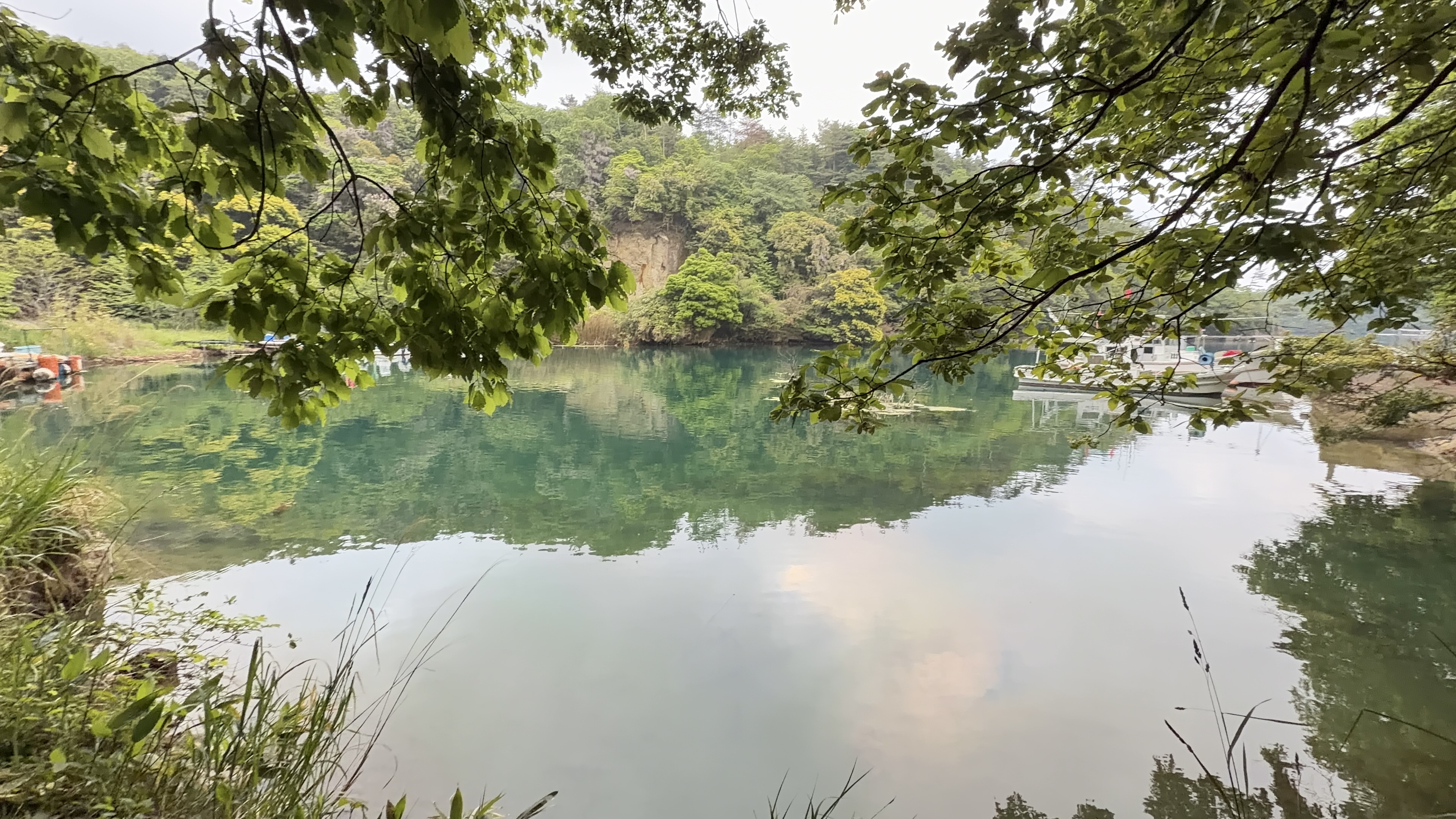 木の葉越しに見える九十九湾の入り江