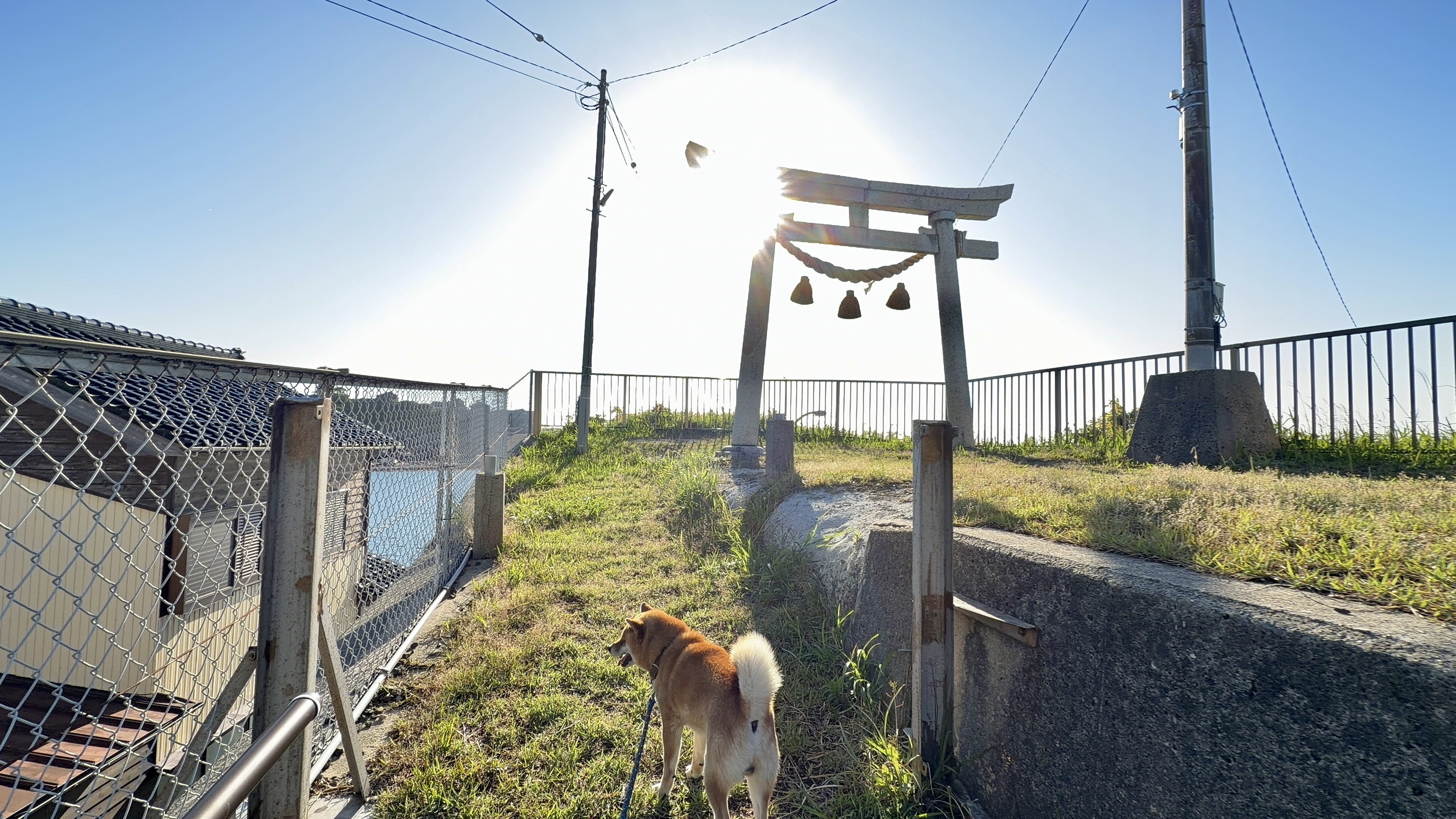 たろーと鳥居・朝日
