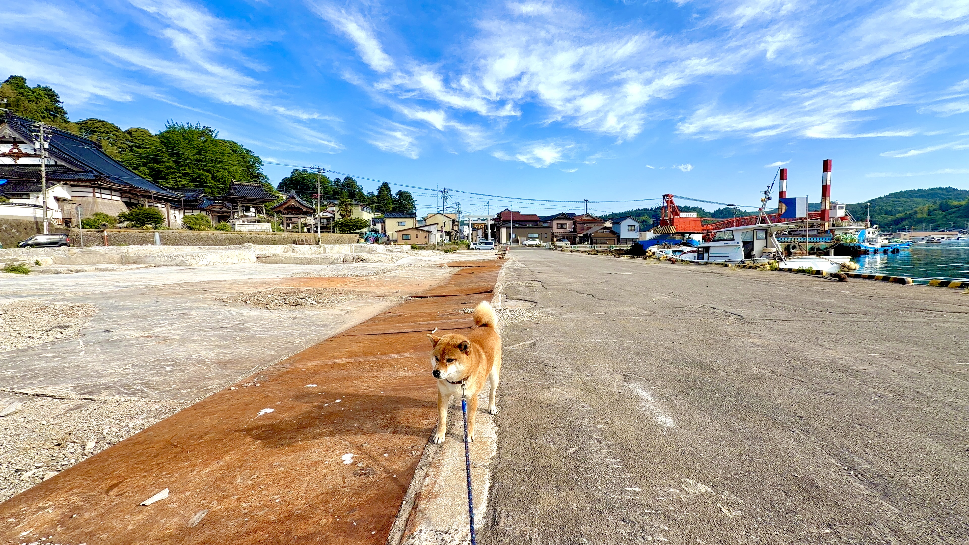 たろーと漁協跡地