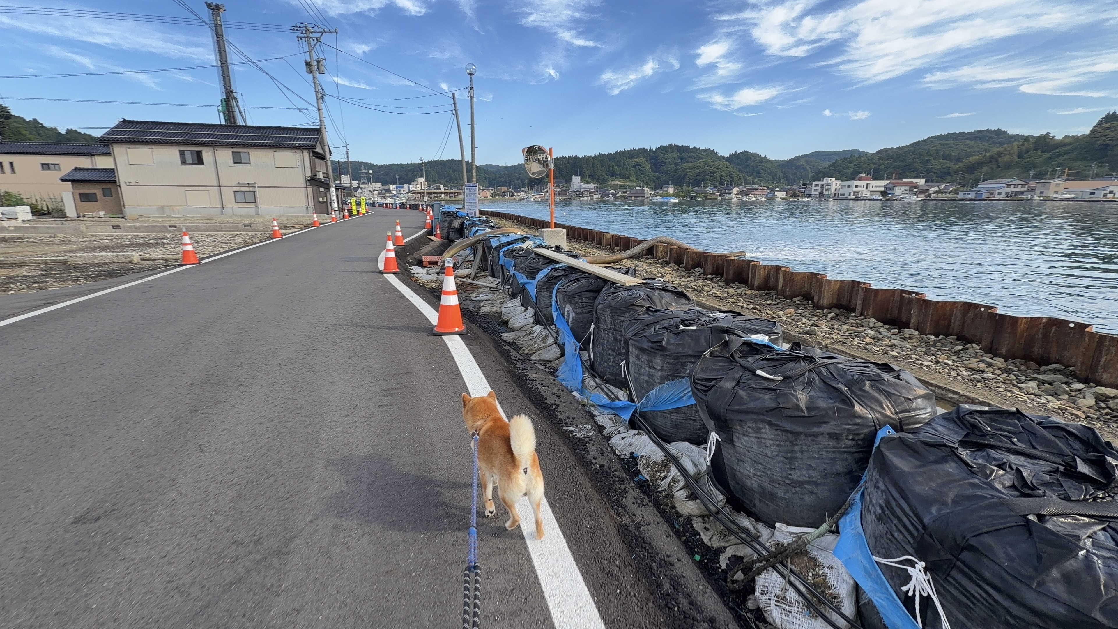 たろーと港沿いの復旧工事
