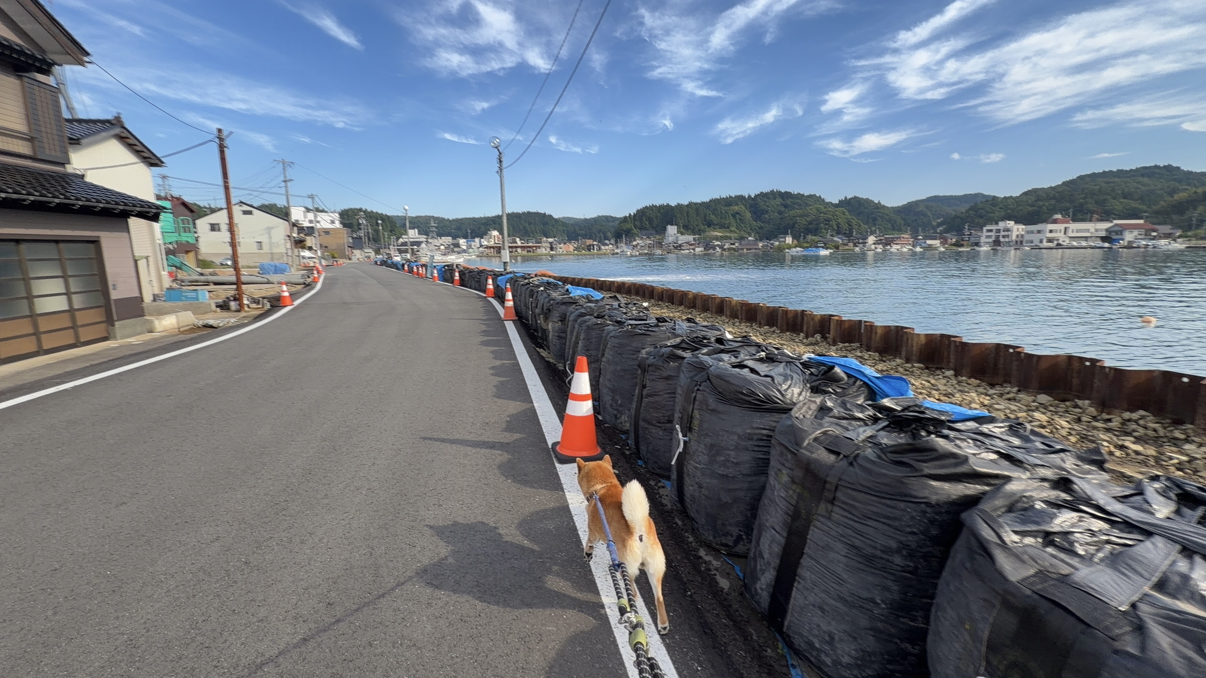 たろーと長い土嚢の区間