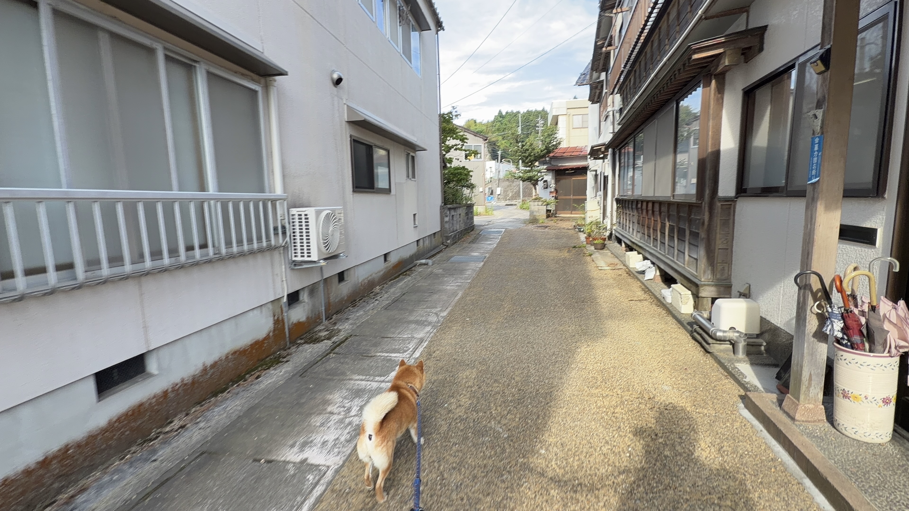 たろーと住宅街の路地