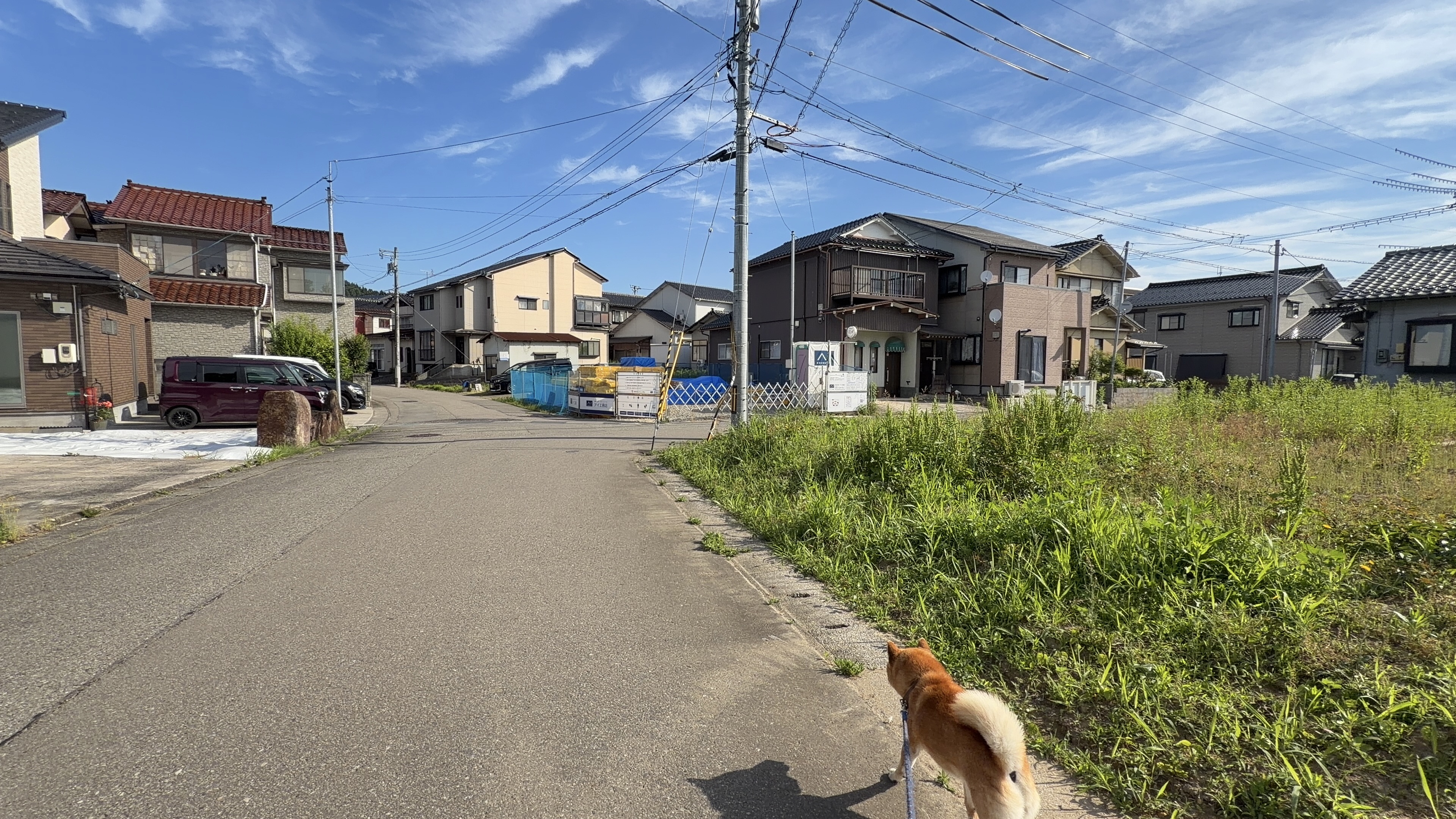 たろーと崎山の住宅街