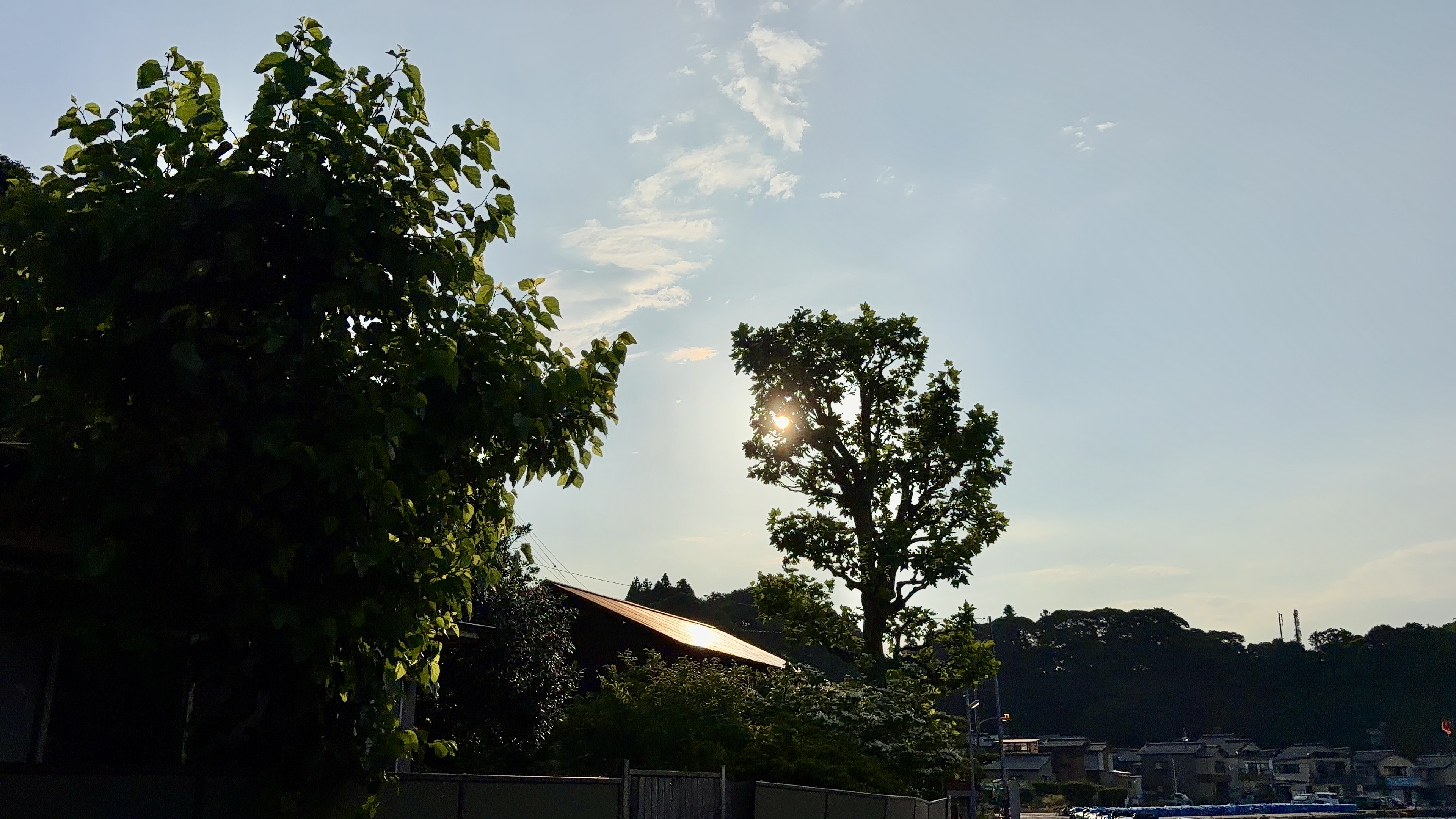 木と朝日のシルエット・住宅街