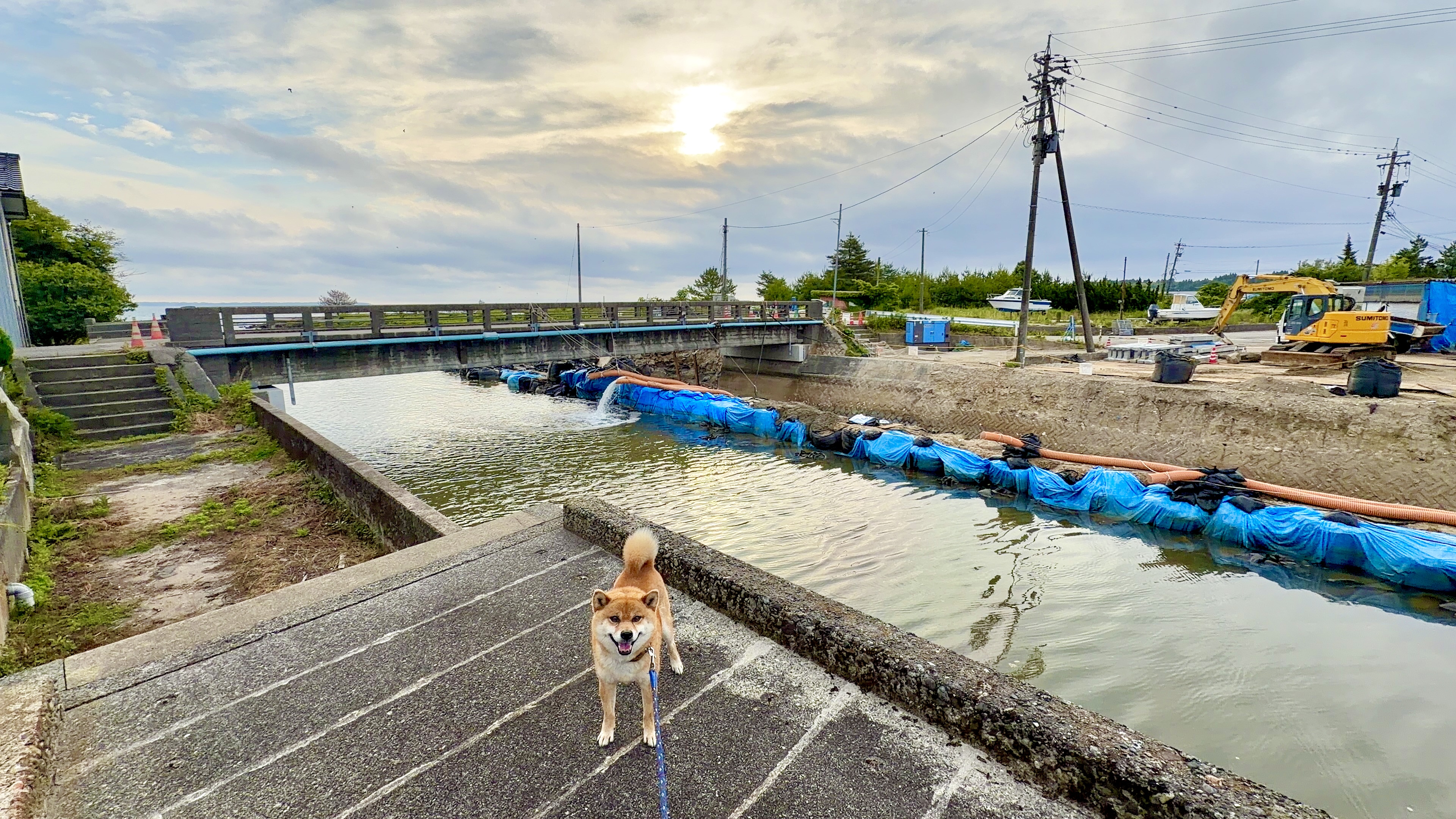たろーさんと工事中の川沿い
