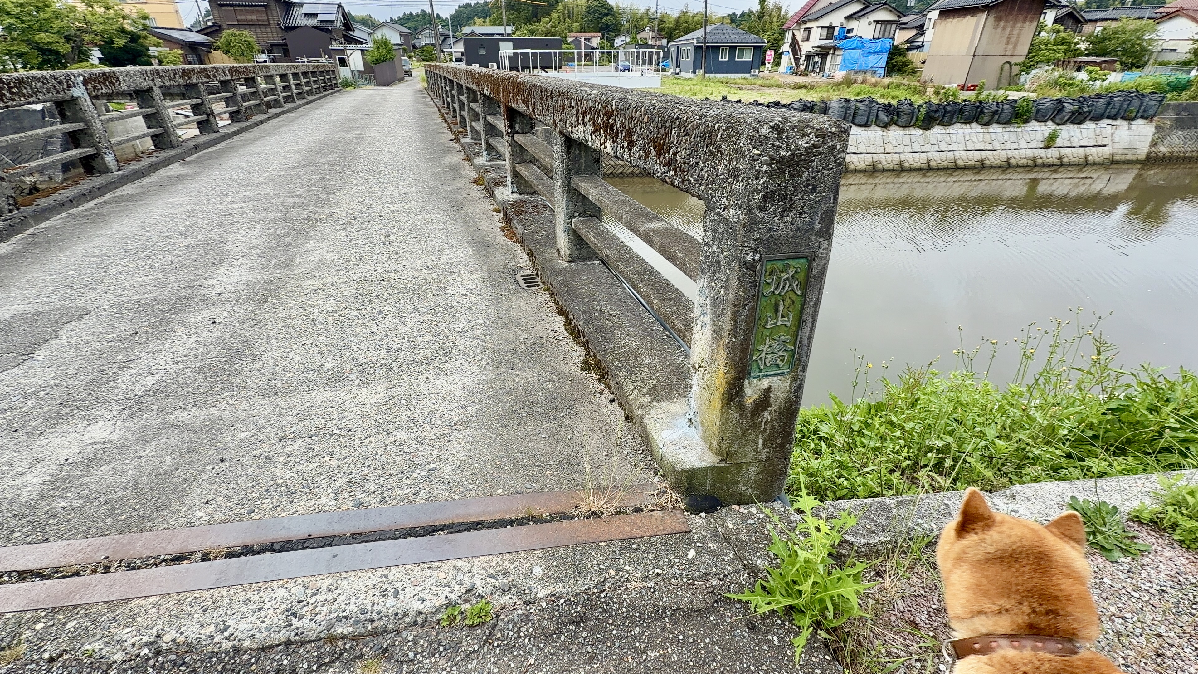 城山橋・たろーさんと一緒に