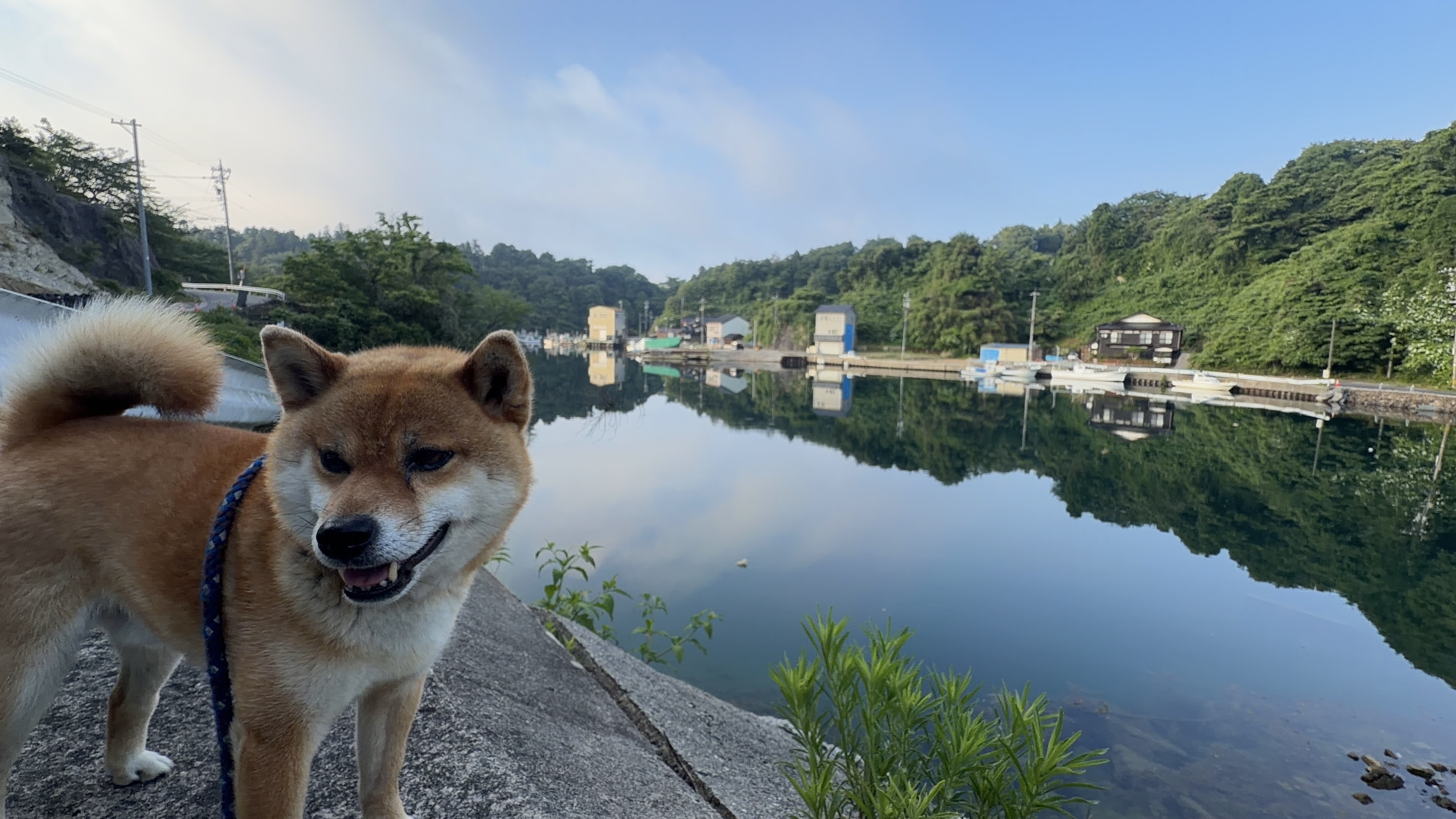 たろーさんと水鏡の入り江