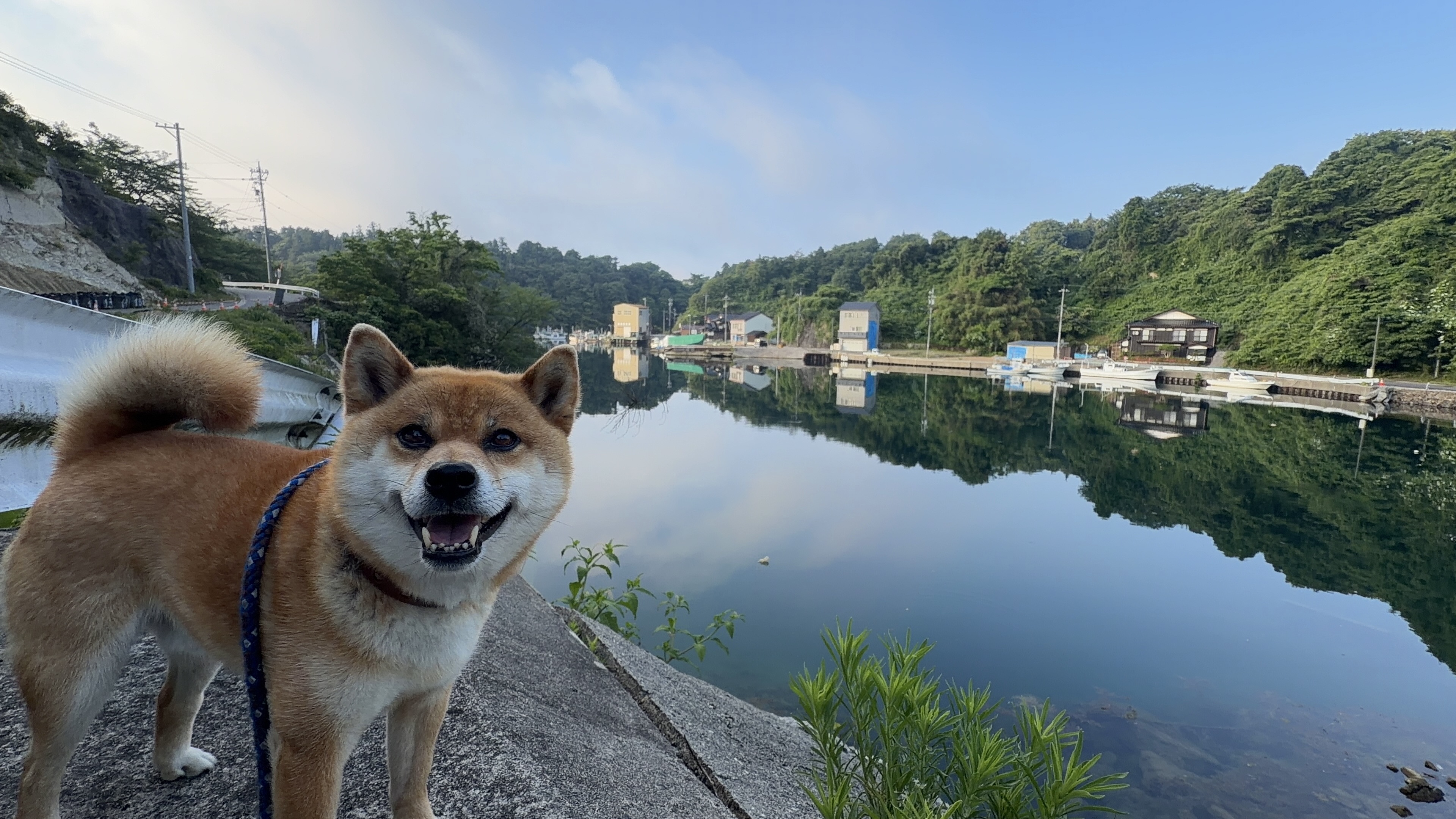 カメラ目線で笑顔のたろーさん