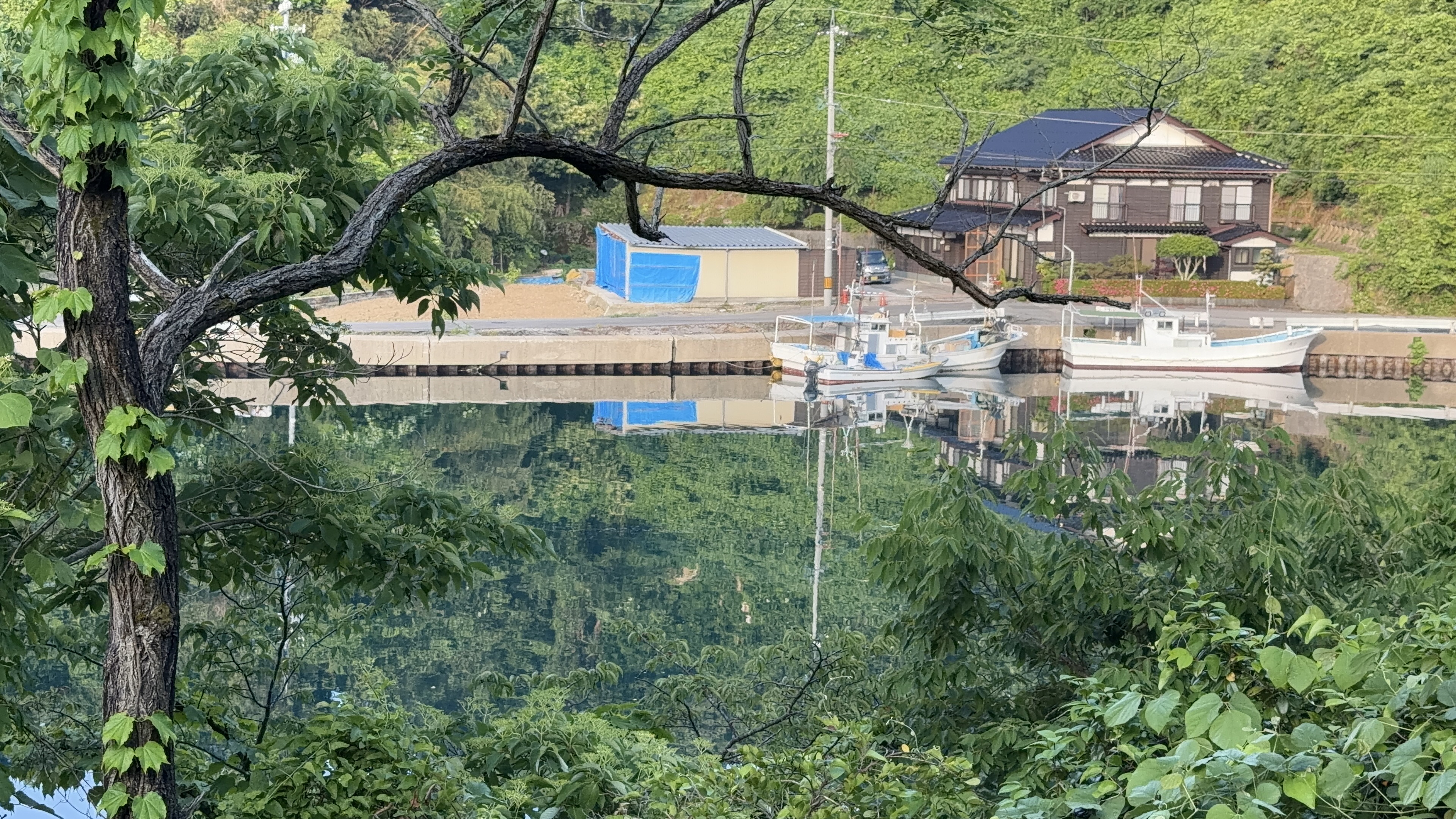 木々の間から見下ろす港・岸壁と漁船