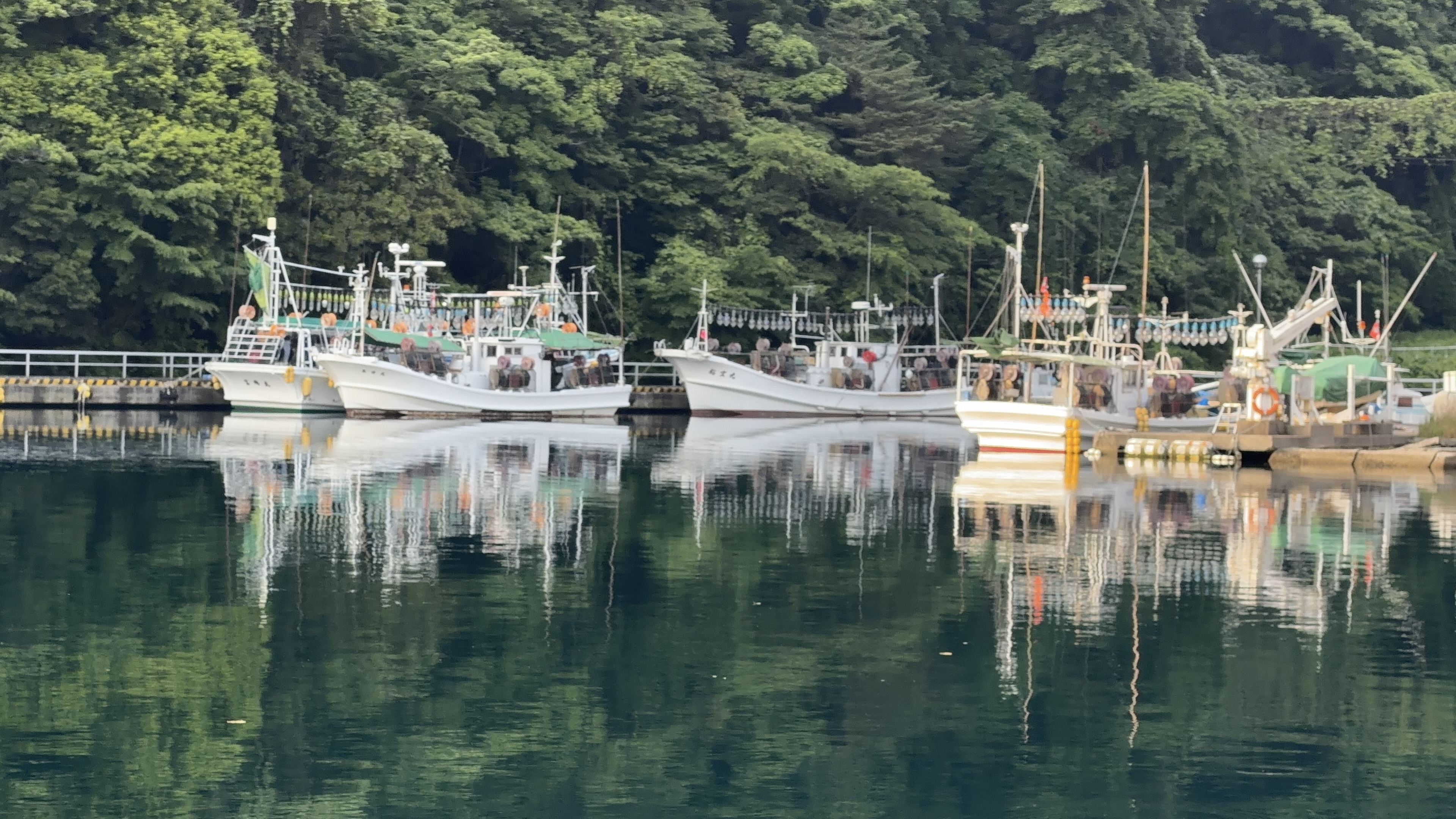 集魚灯をつけたイカ釣り船が並んで停泊する九十九湾
