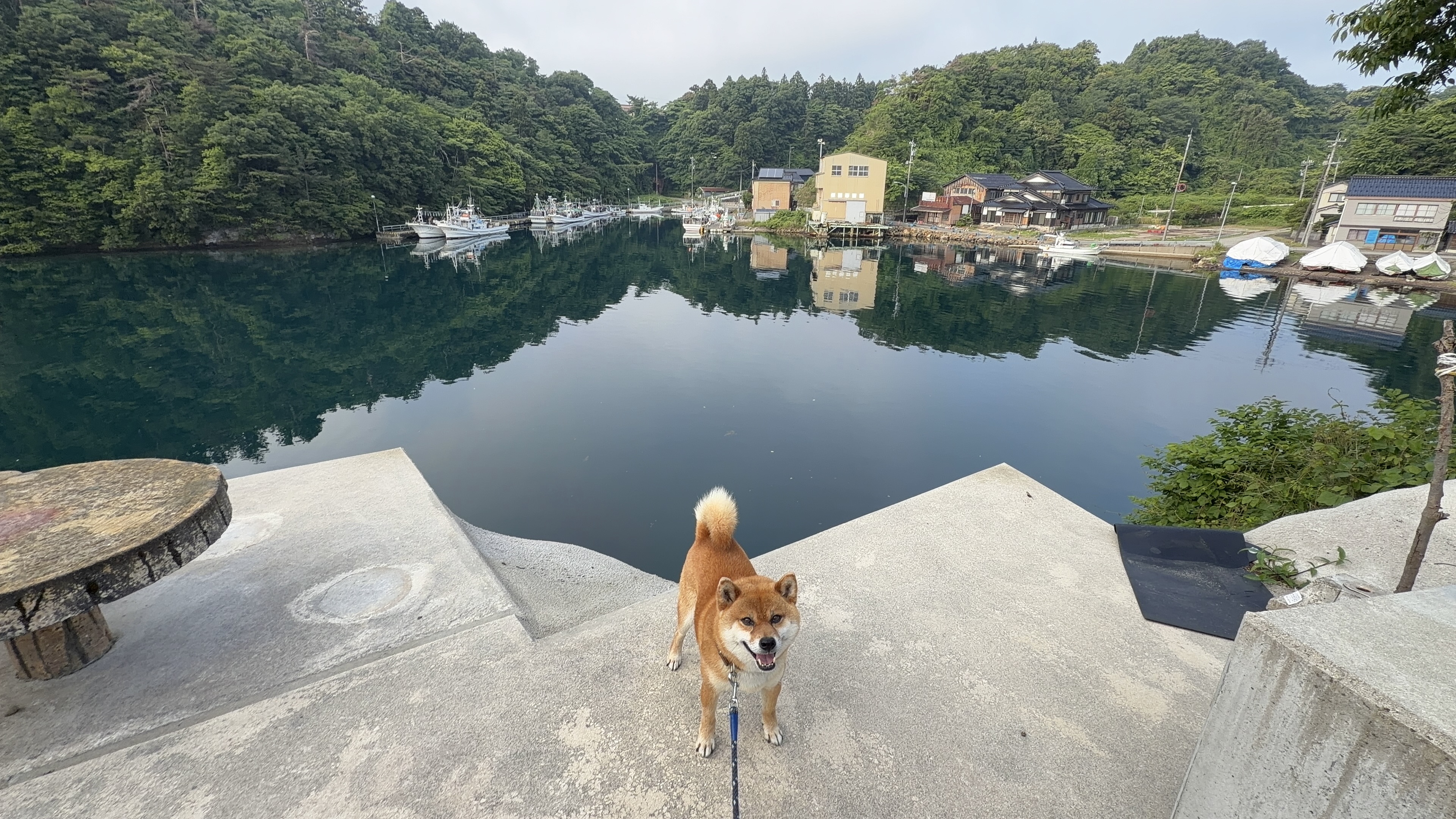 石段の上に立つたろーさんと鏡のような九十九湾