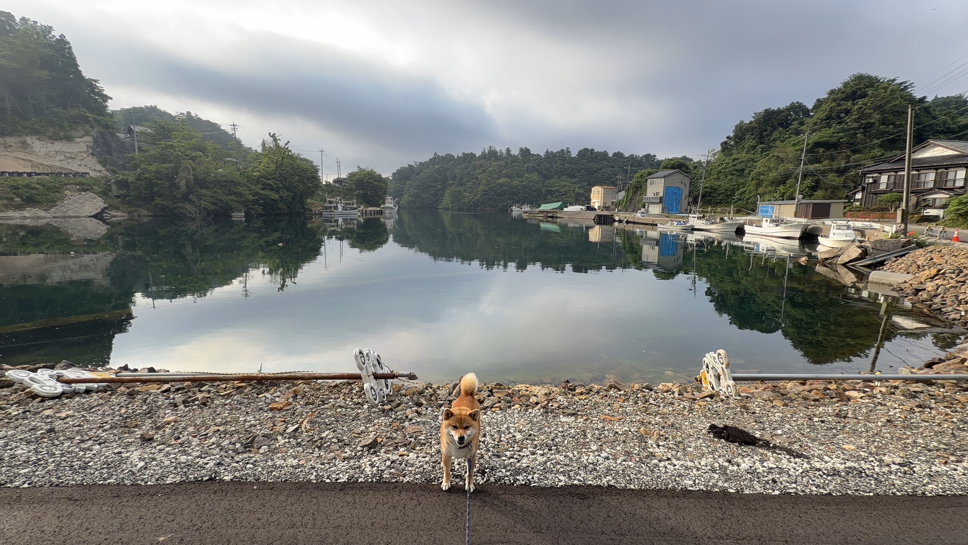 たろーさんと九十九湾・もう一枚