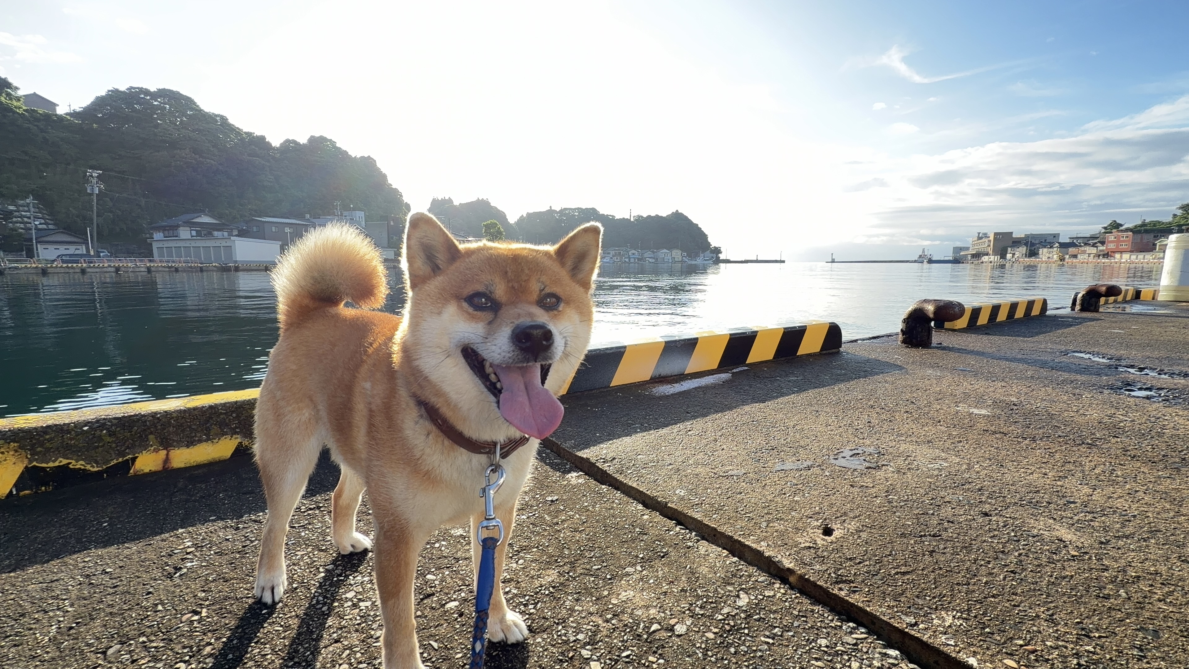 朝の小木港の岸壁で笑顔のたろーさん