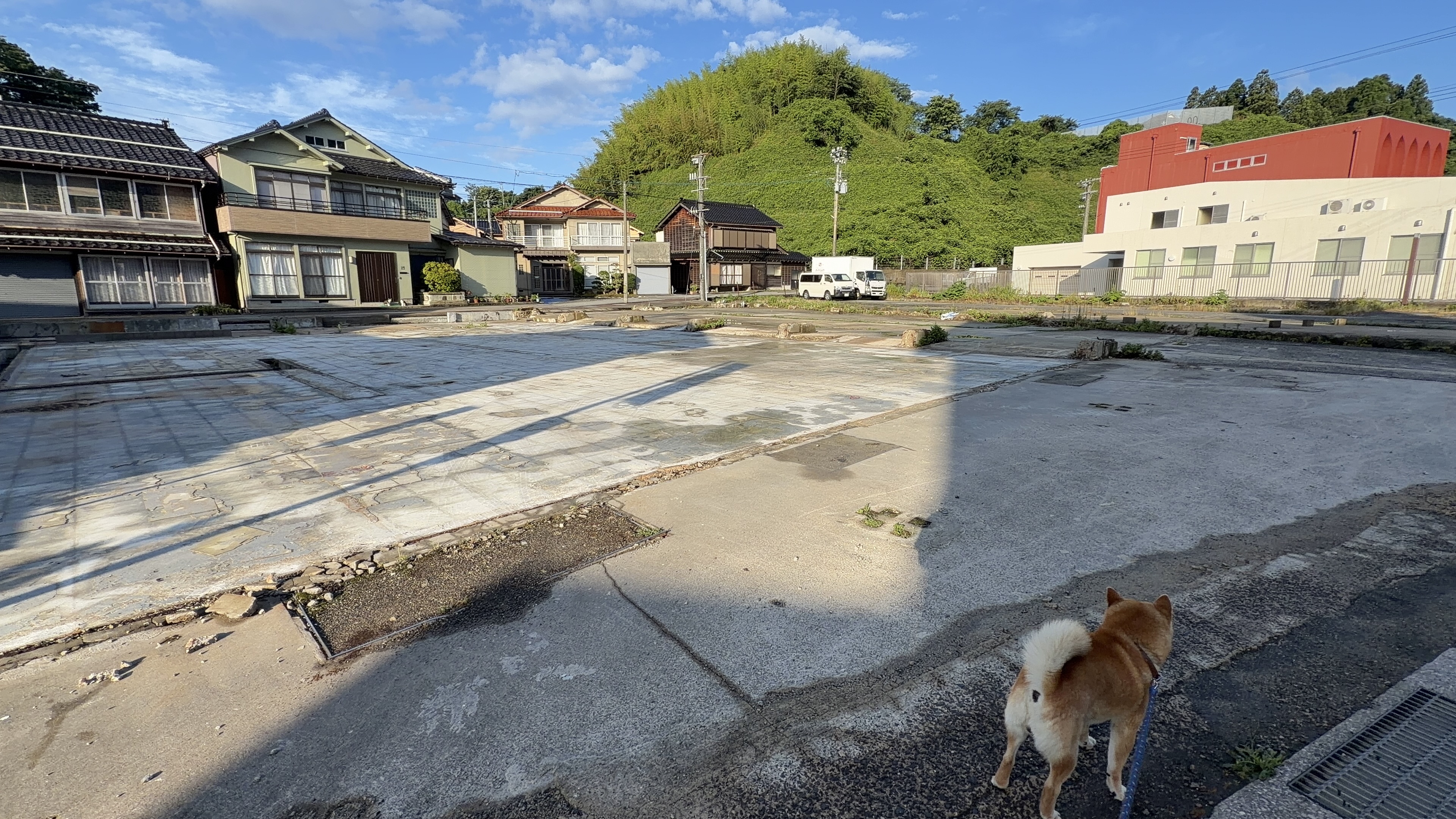 マルゲン跡地の更地を歩くたろーさん