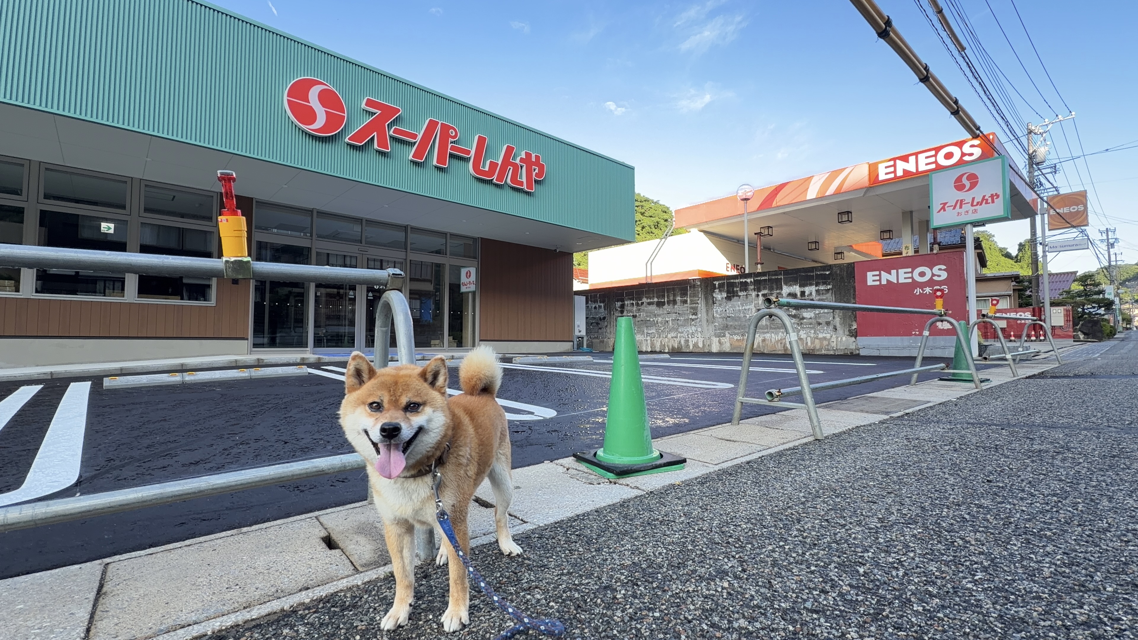 ENEOS隣の新しいスーパーしんやとたろーさん