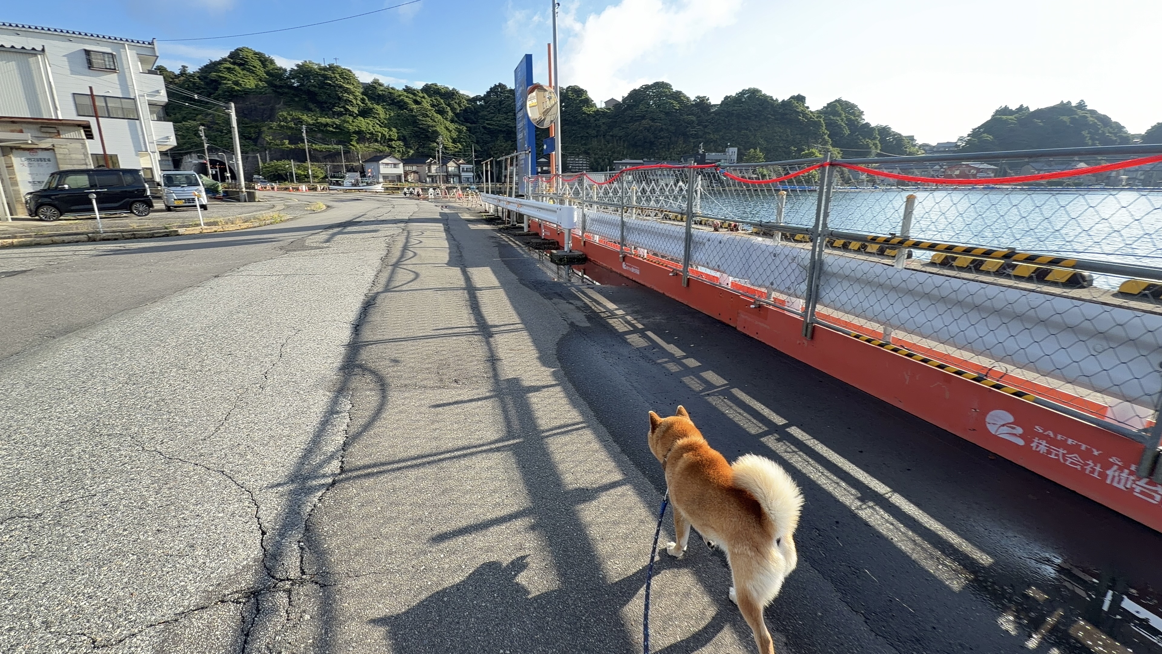 港に戻り、工事フェンス越しに海を見るたろーさん