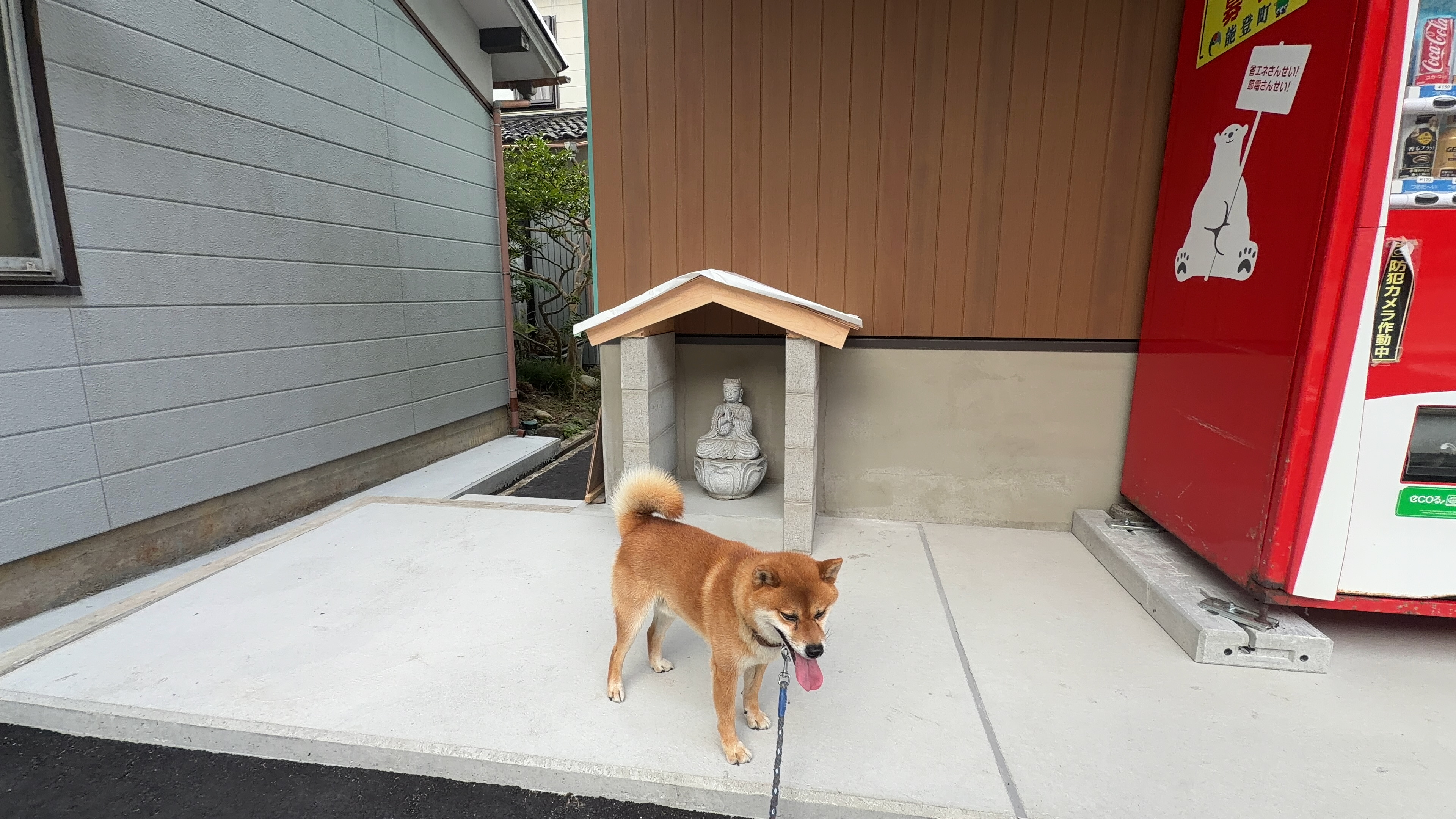 小さな祠と自動販売機の前を通るたろーさん
