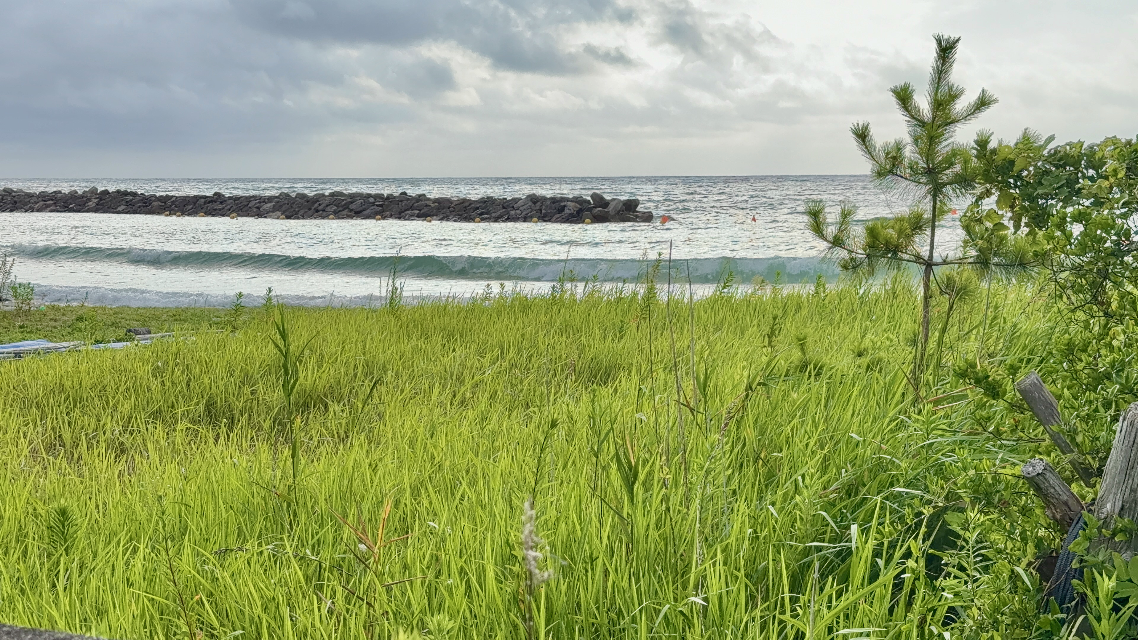草むらの向こうに白波が立つ五色ケ浜の海