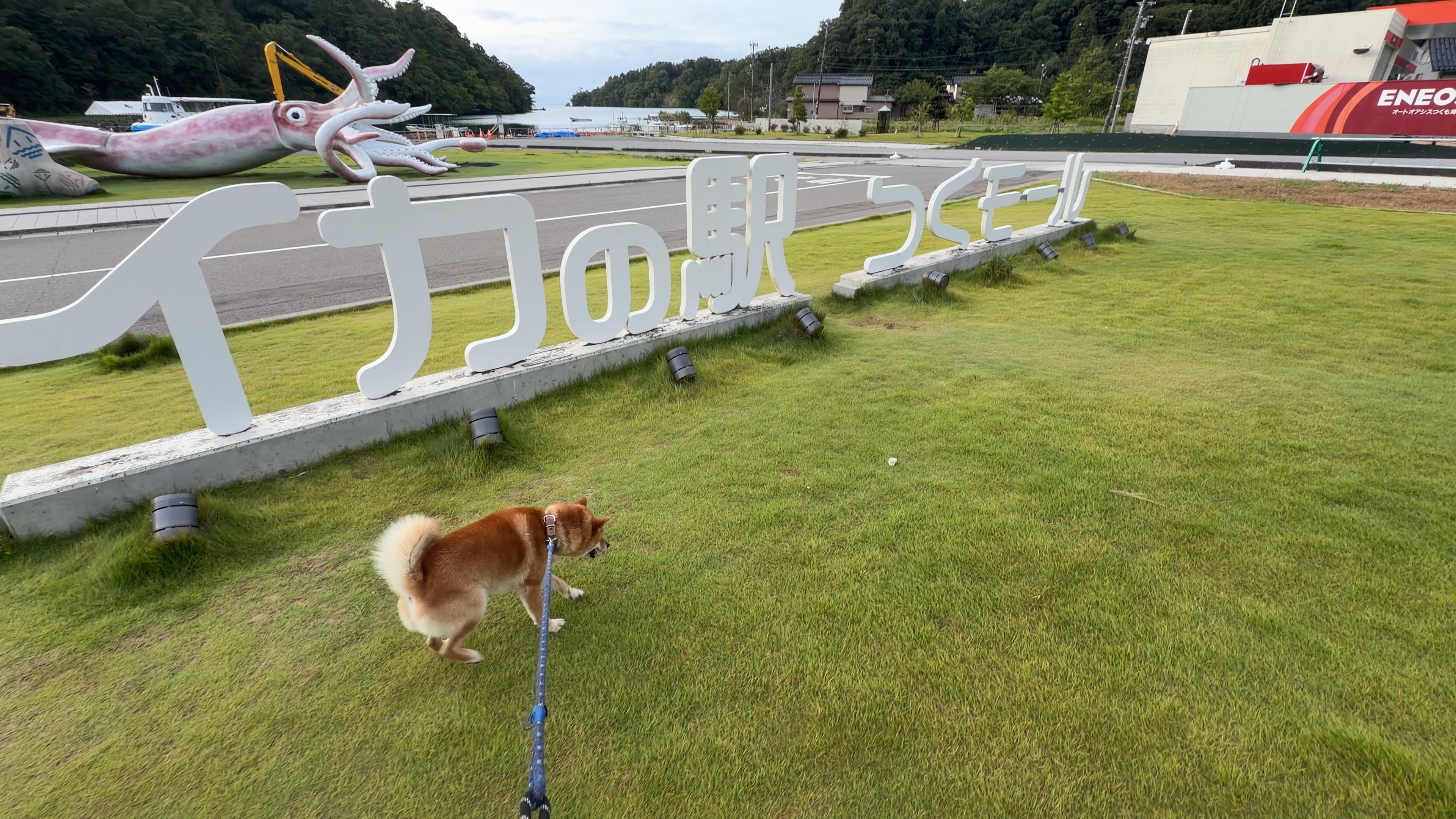 イカの駅つくモールの看板とイカキングの前で歩くたろーさん、朝の芝生の広場