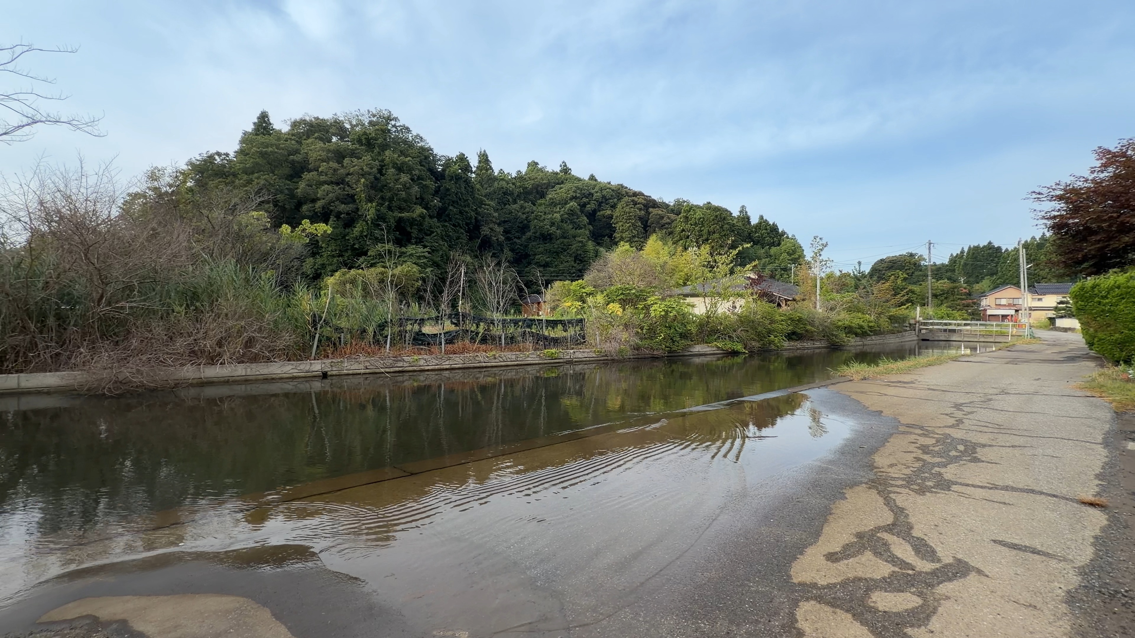 緑色に濁った水に沈む護岸沿いの道、対岸には住宅街が見える