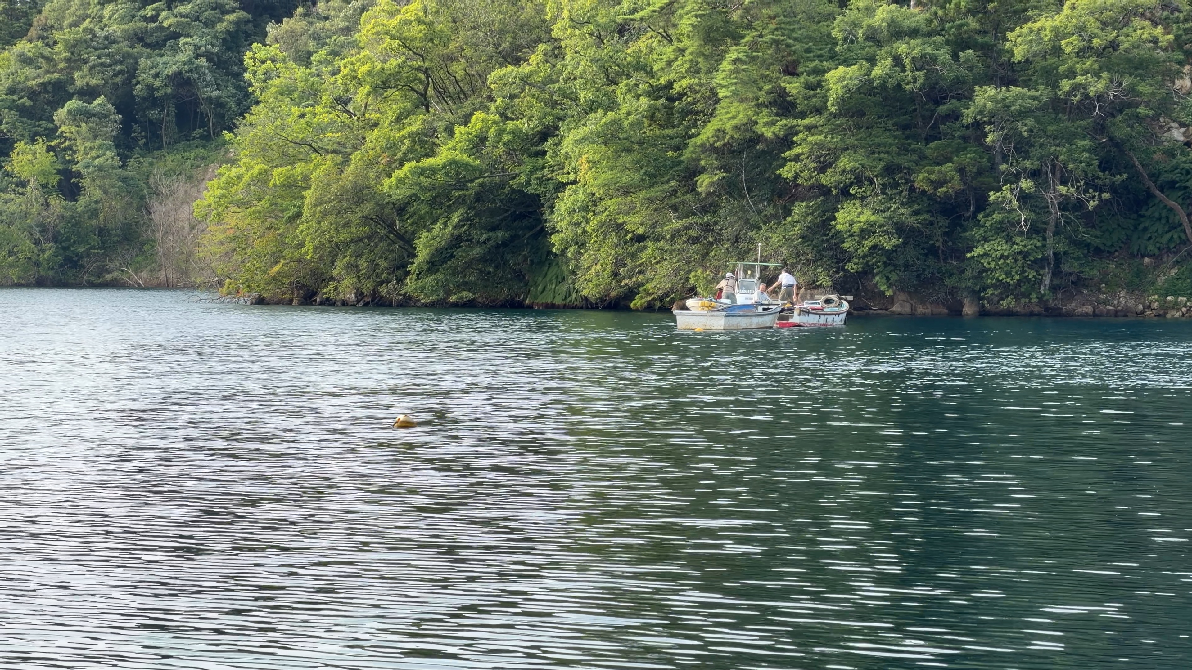 緑濃い入江の対岸で釣りをするふたりの人を乗せた小舟