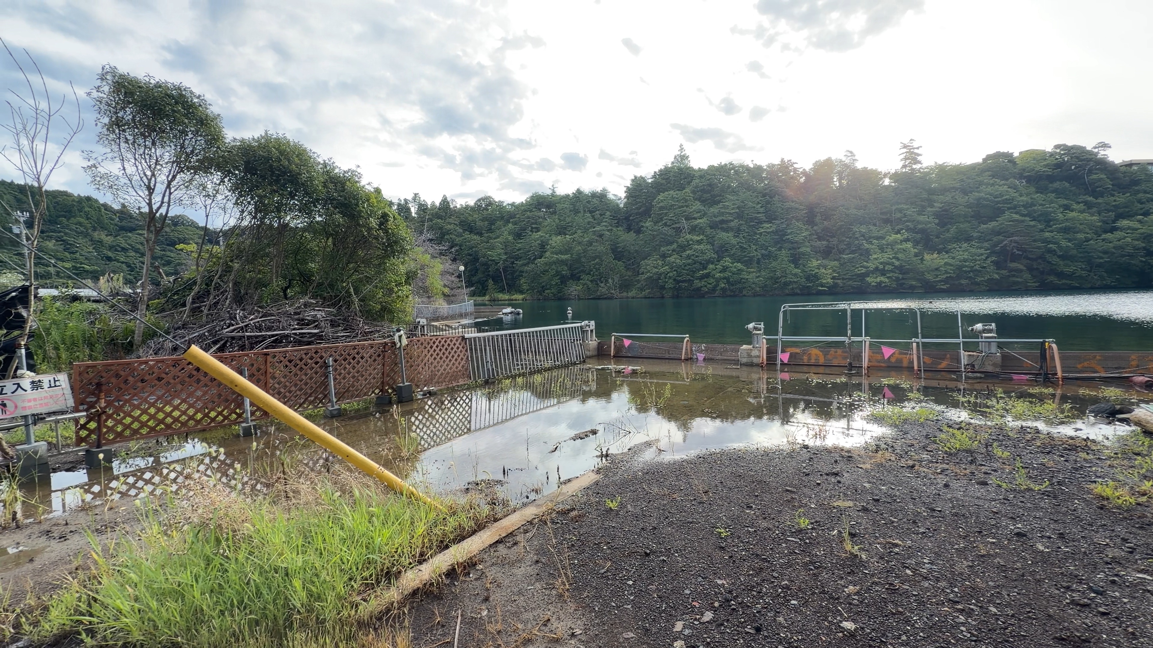 住宅街の道路に水がたまった帰り道、周囲には田畑と山