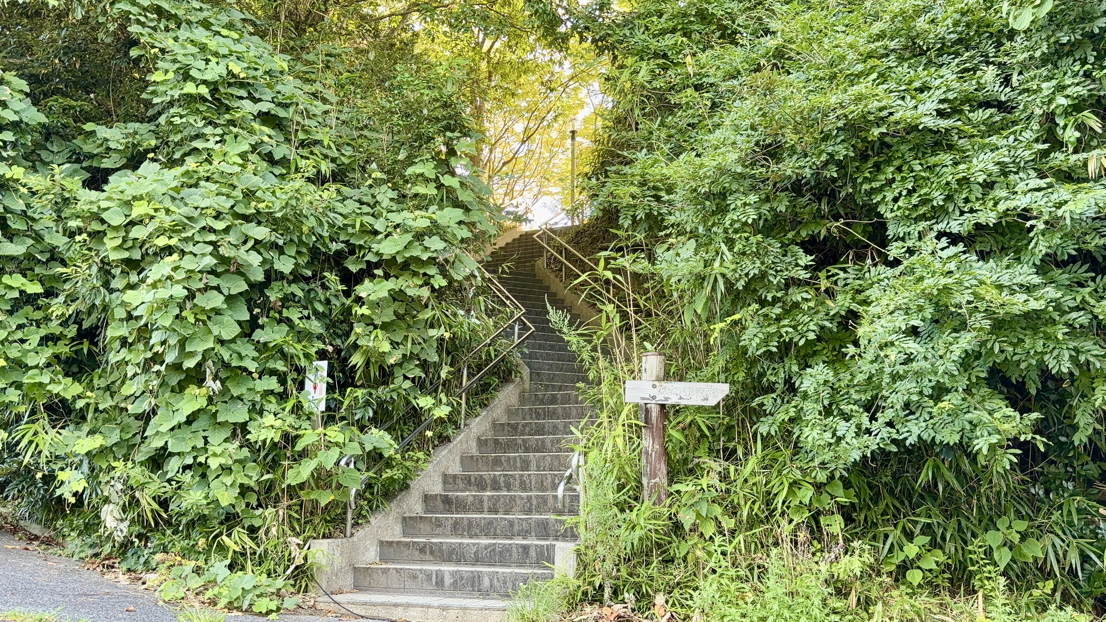 海岸沿いから続く緑に囲まれた石段の道