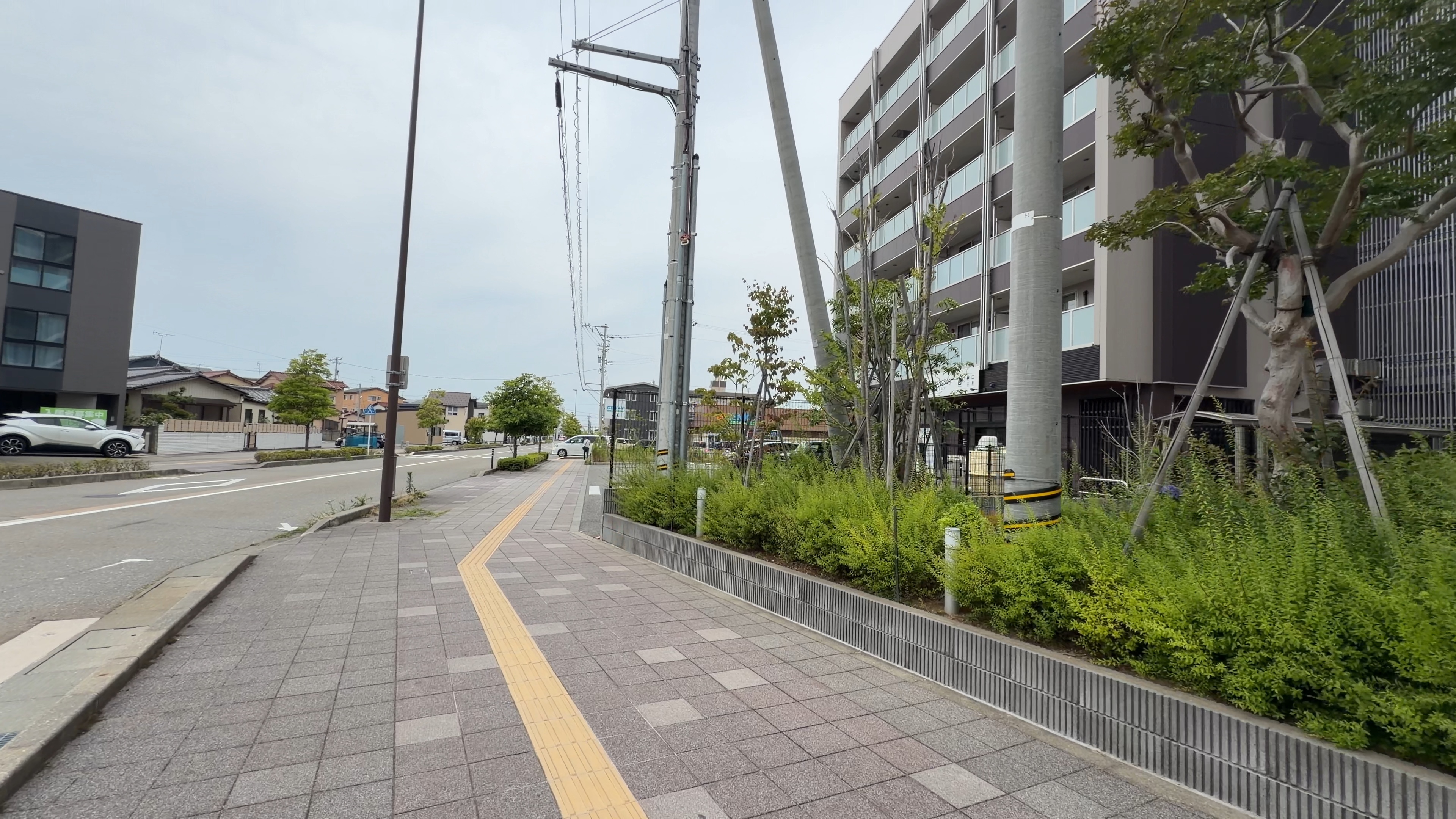 西金沢駅西口の歩道、マンションと並木が続く街並み