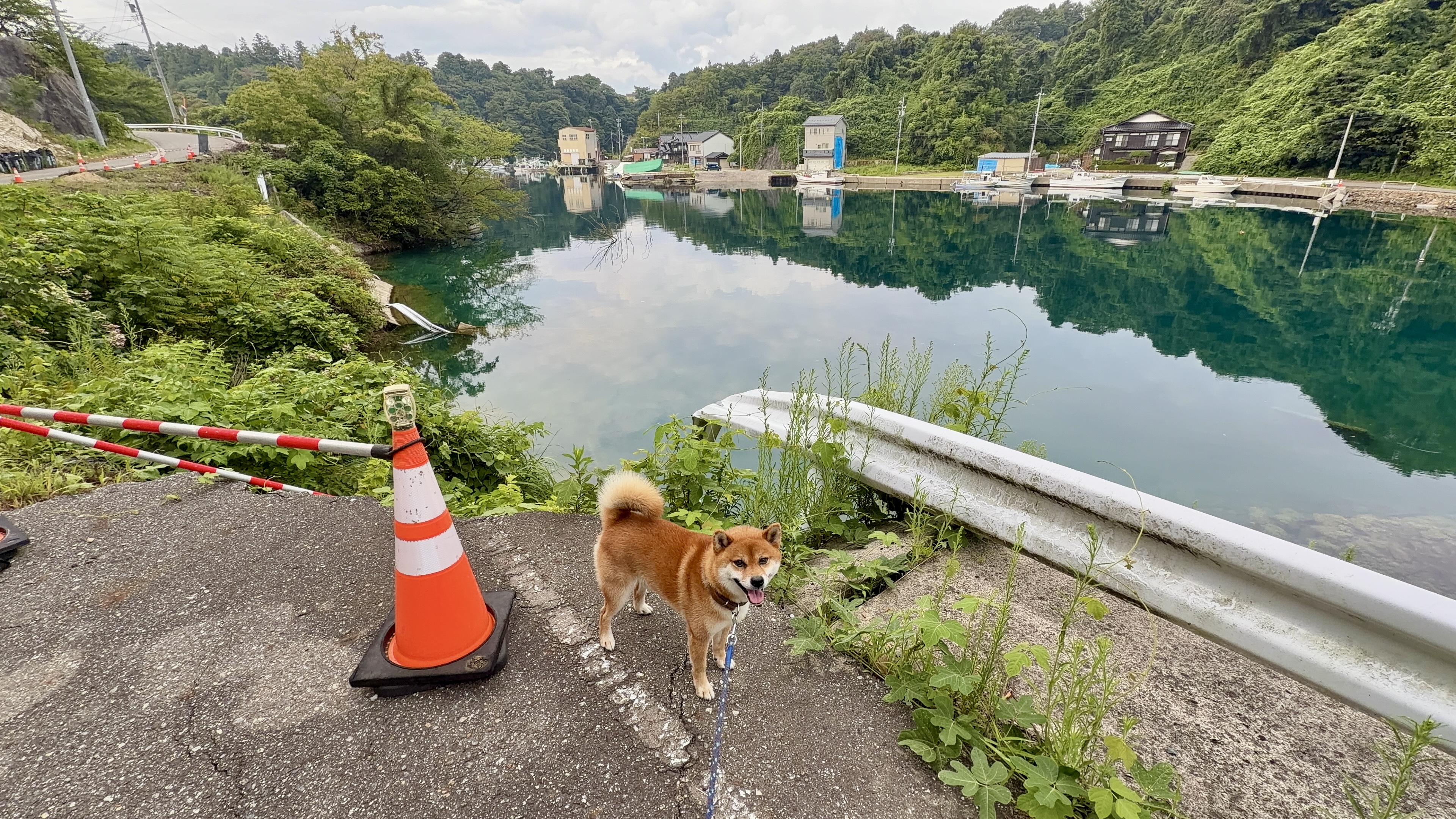 崖を削ってつくった迂回路のスタート地点、カラーコーンのそばで振り返るたろーさん