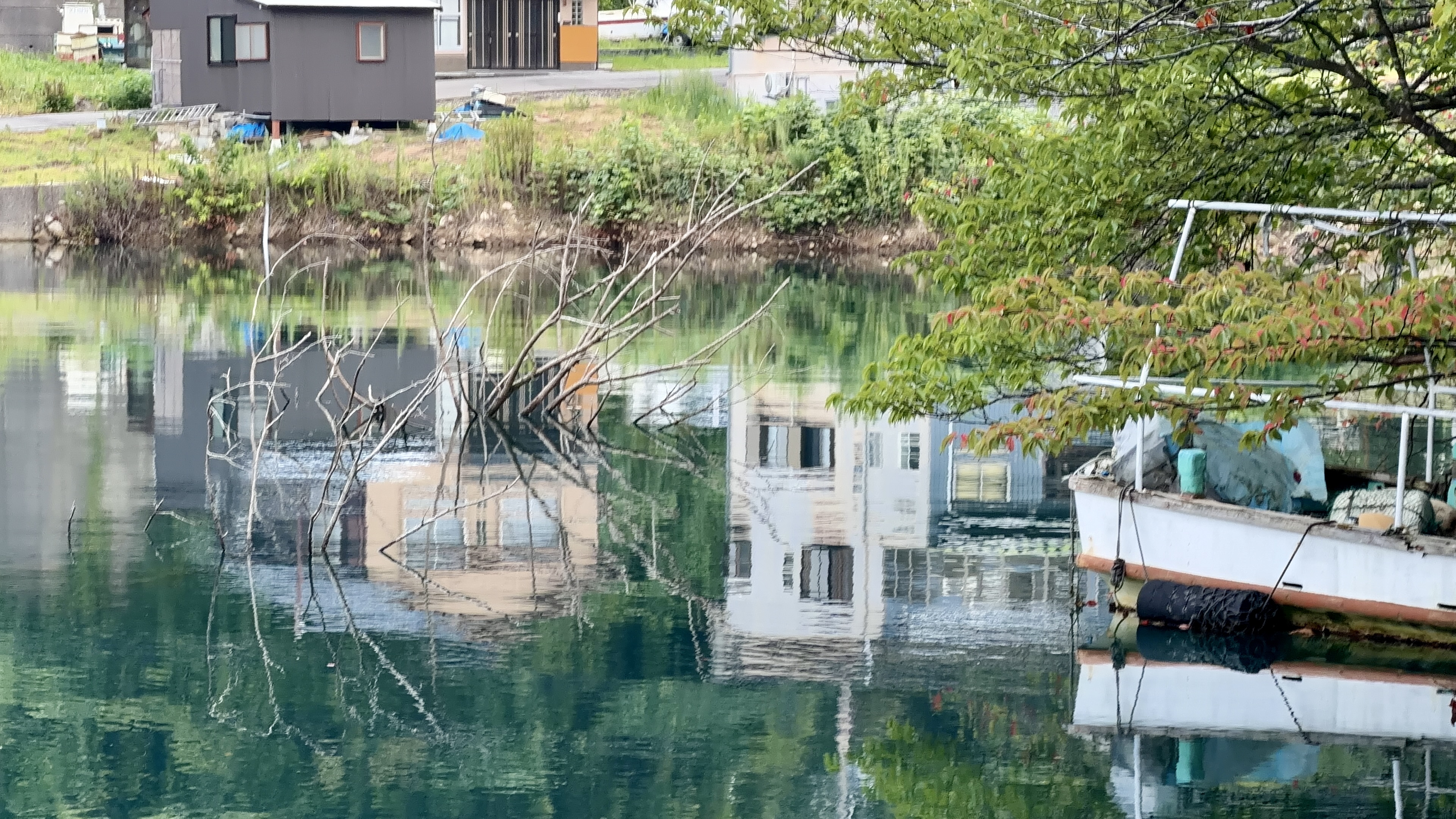 木々や船小屋が水面にそのまま映る奈古浦の入江
