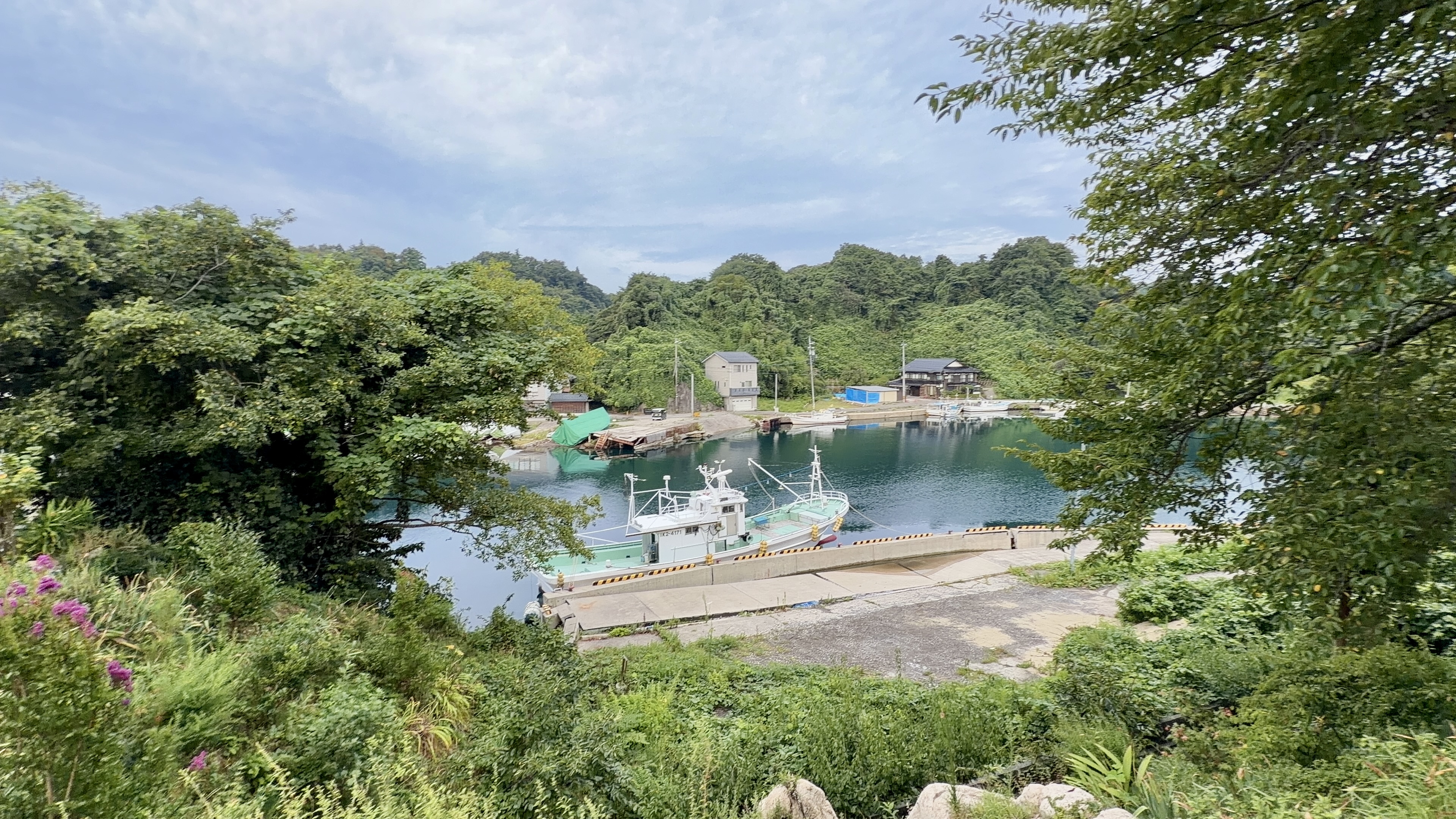 紫色の花越しに見える入江の奥の水面と漁船