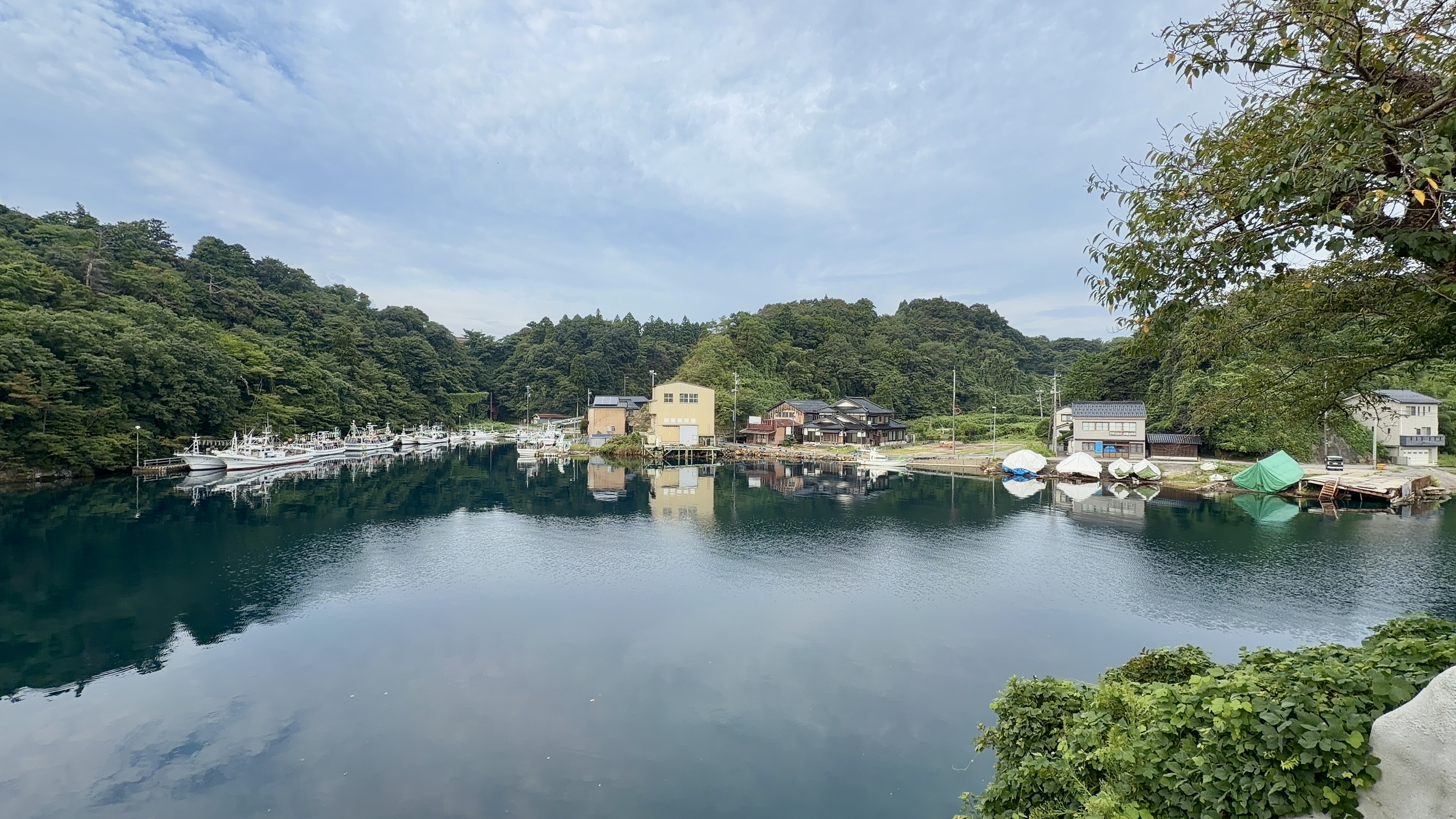 折り返し地点から見た、鏡のように穏やかな入江