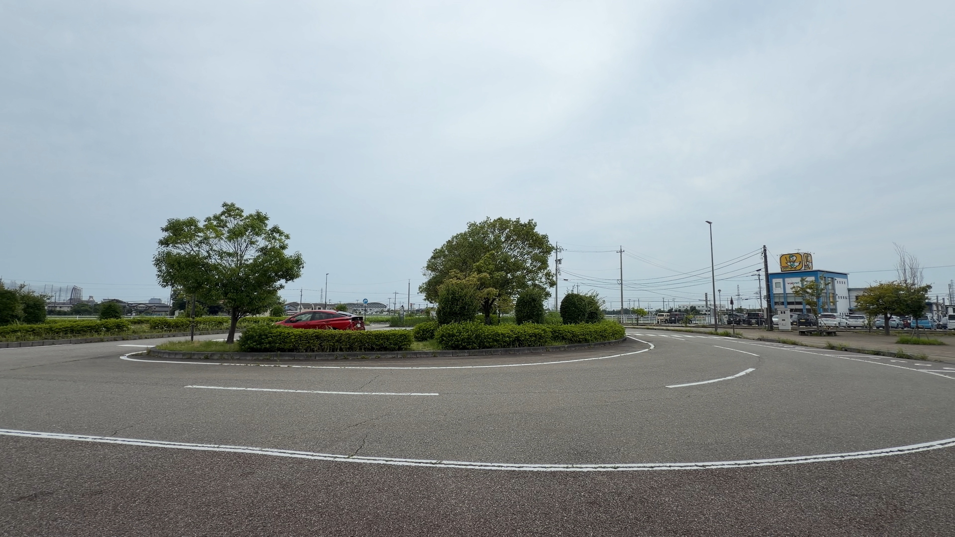 西口ロータリーに立つ一本の木と背後のマンション群