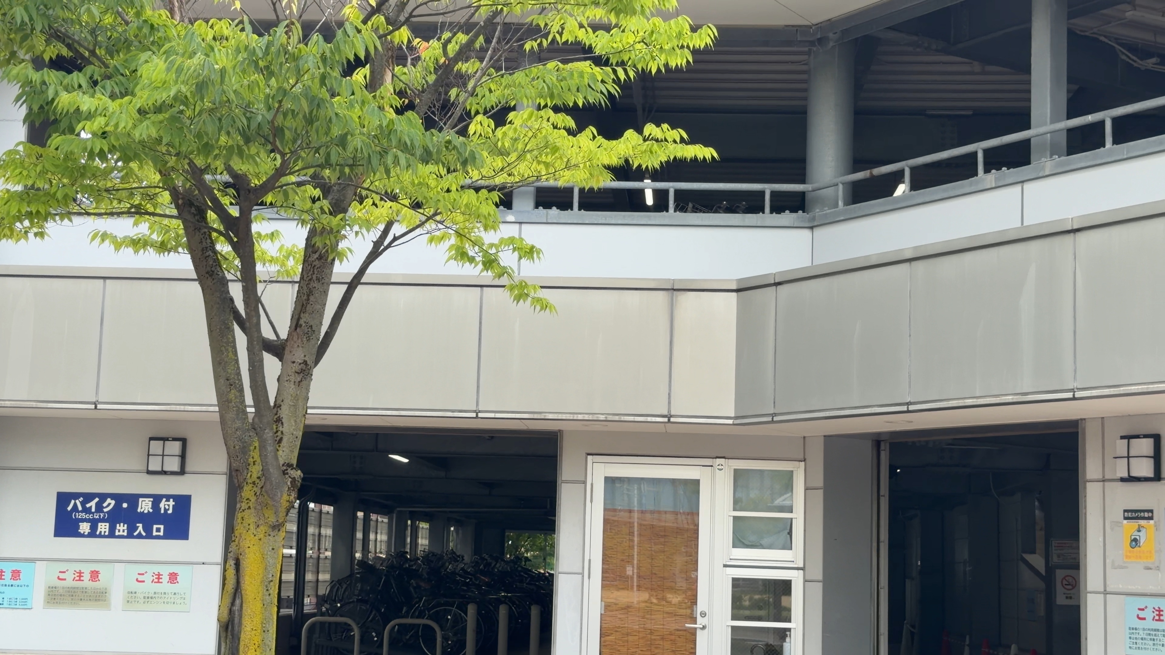 マンション1階の「バイク・原付専用出入口」と看板、木漏れ日の木