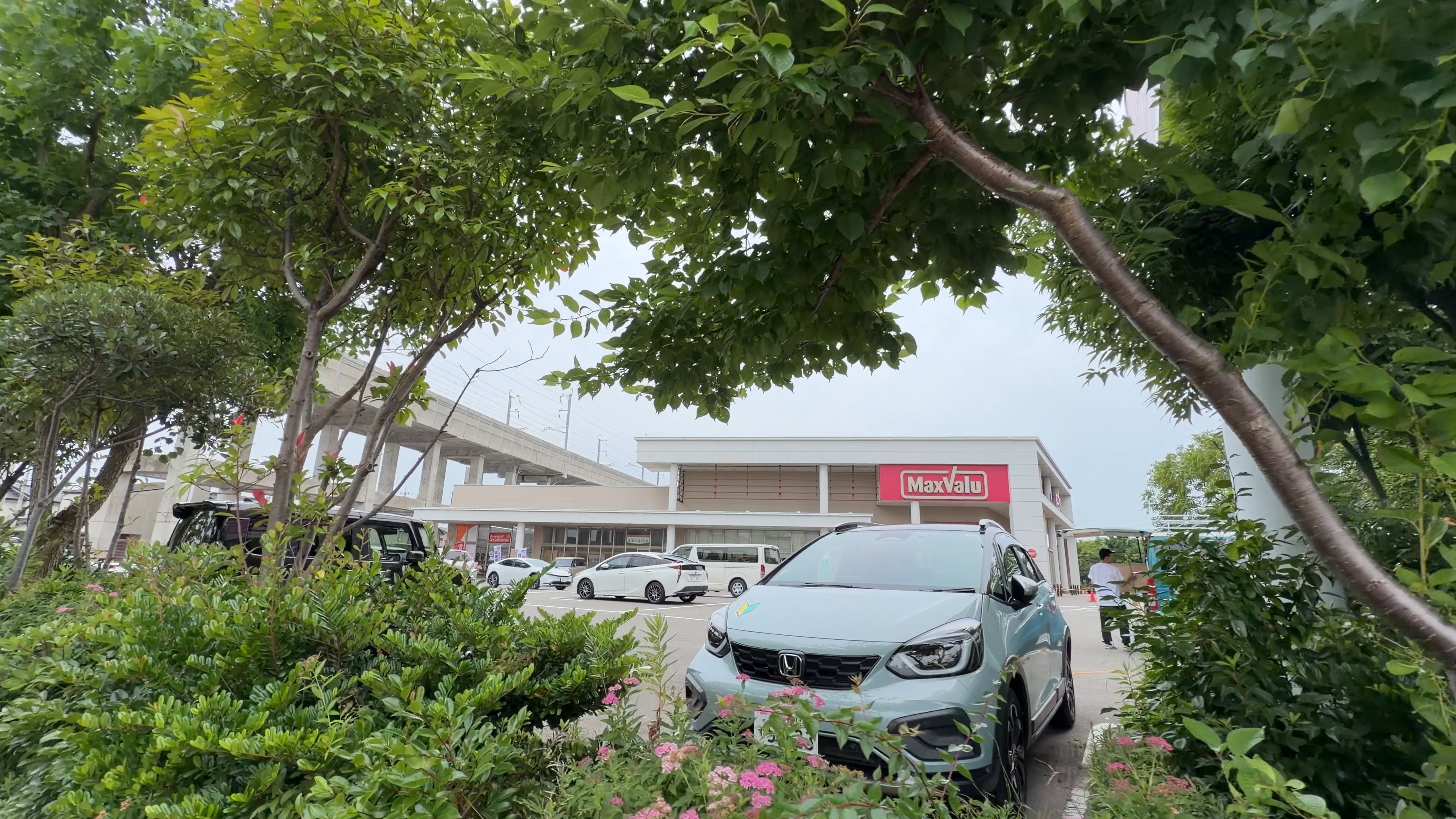 木々の向こうに見えるマックスバリュの看板と駐車場、奥に高架橋