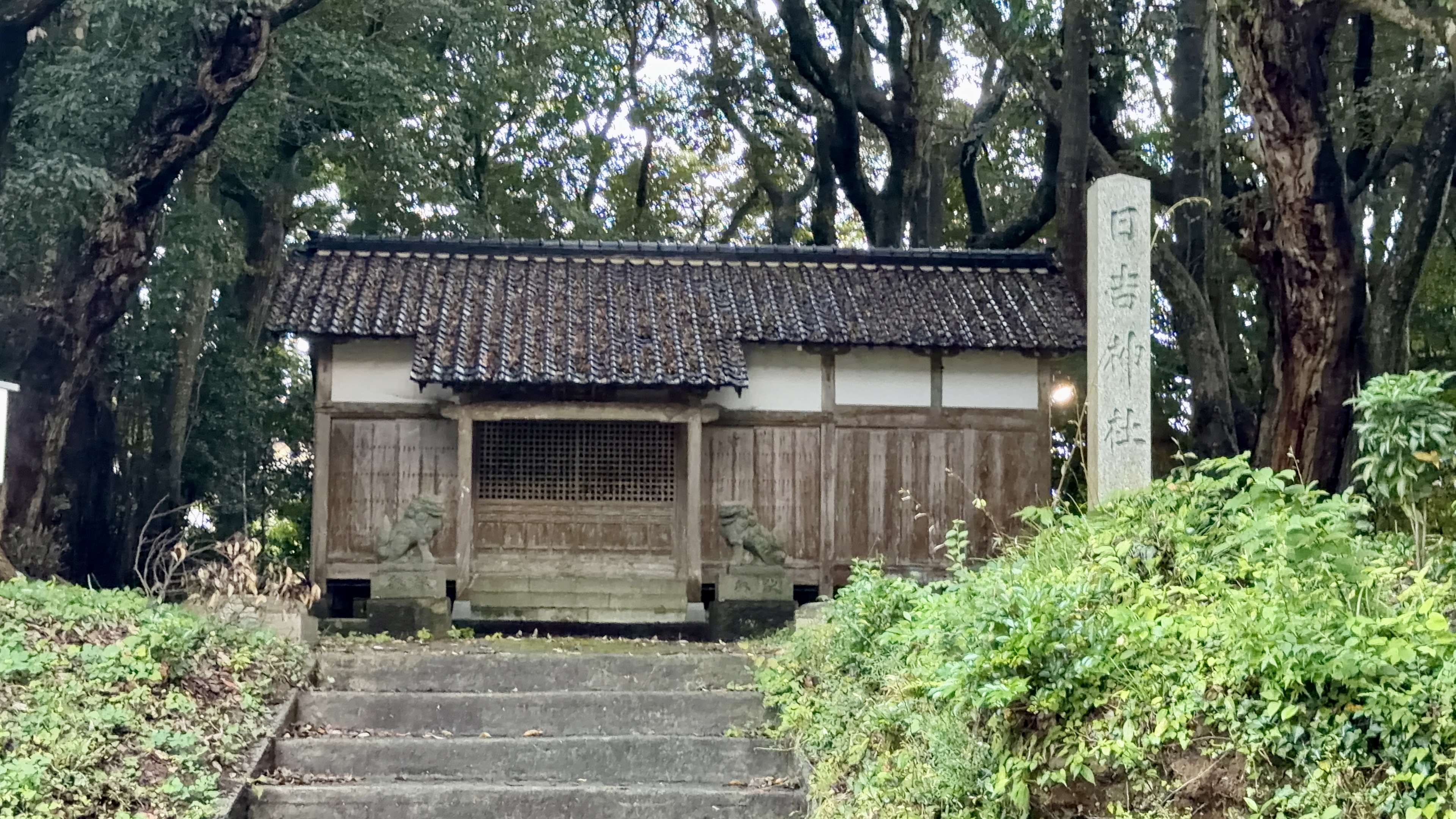 木々に囲まれた日吉神社の社殿、両脇に狛犬