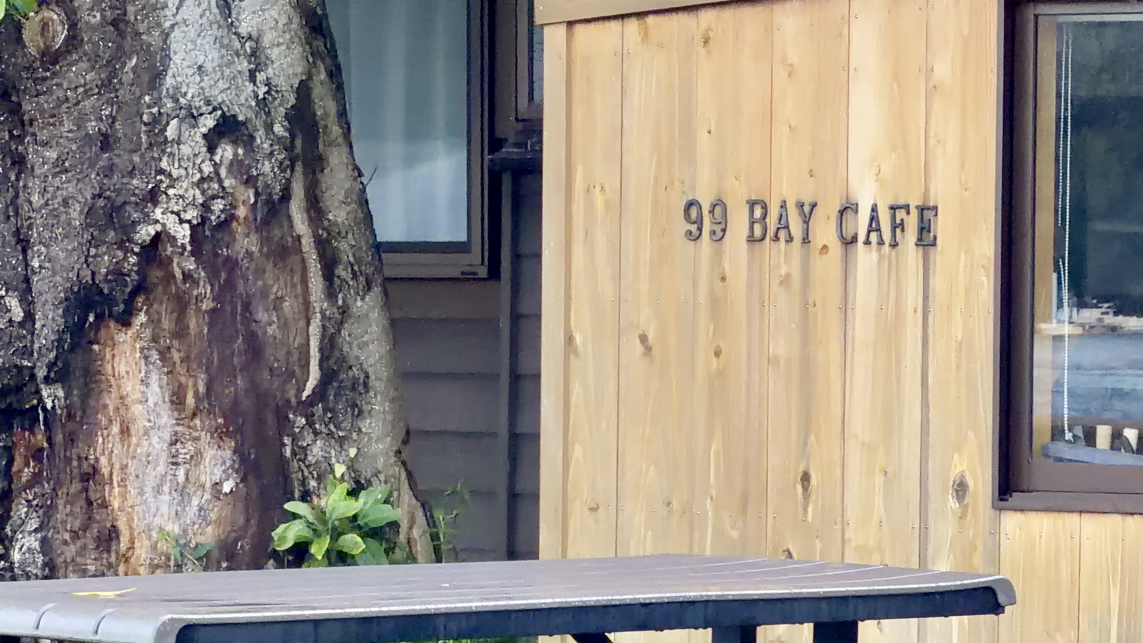 大きな木のそばの木壁に書かれた「99 BAY CAFE」の文字