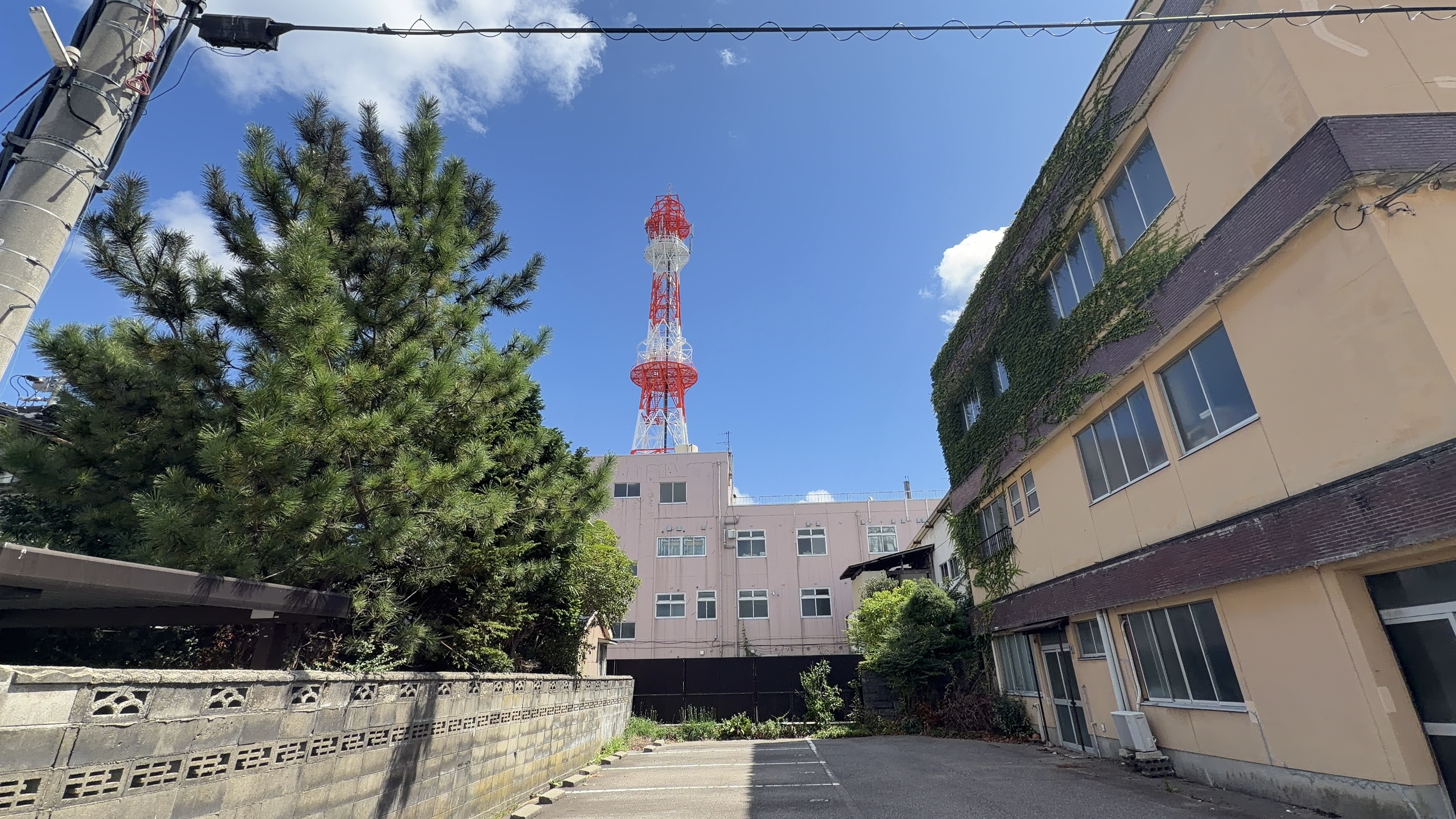 赤白の電波塔が住宅街の建物の間から間近に見える様子、手前に松の木と蔦の絡まる古い建物