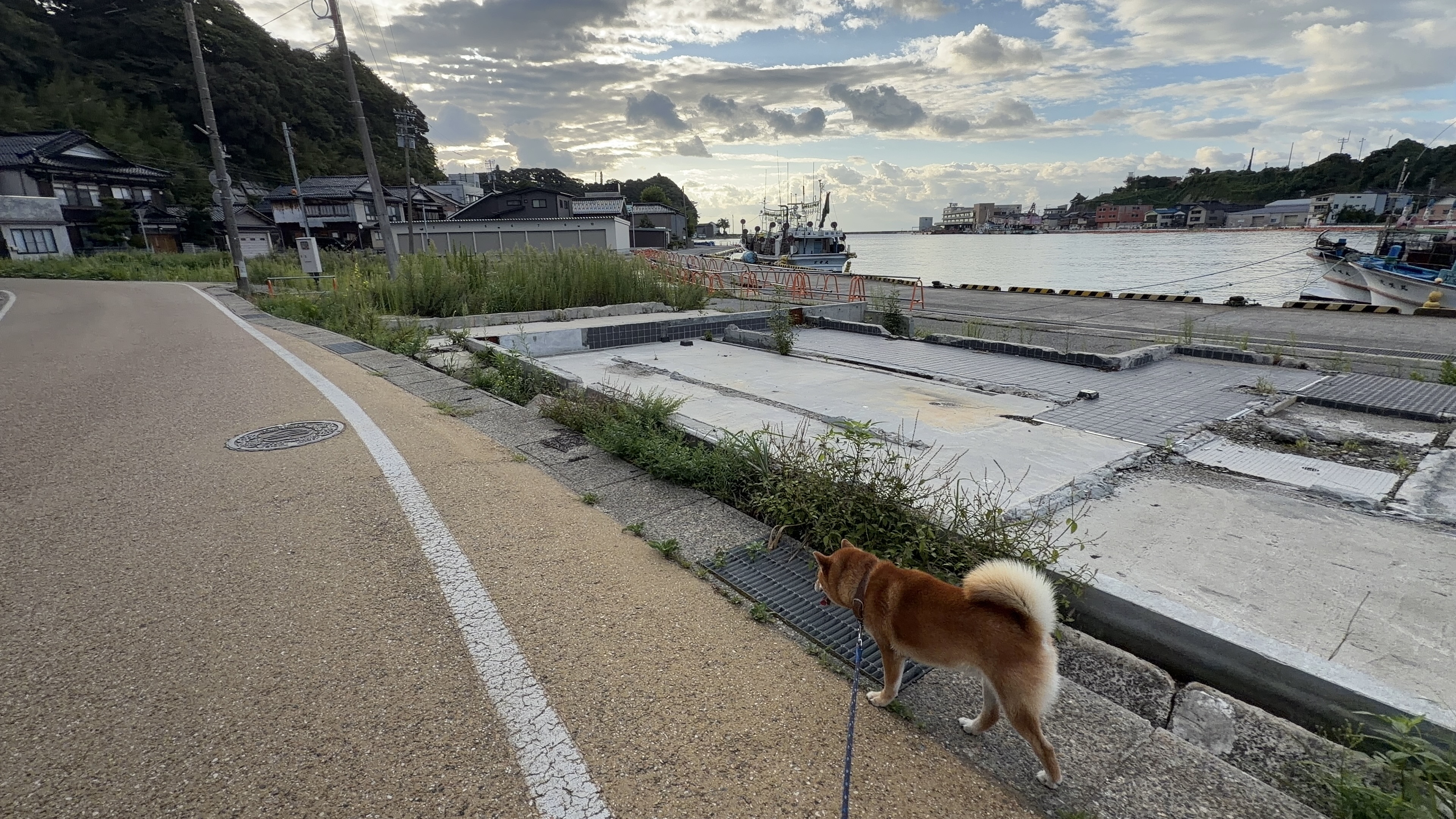 建物の基礎だけが残る空き地の前に立つたろーさんの後ろ姿
