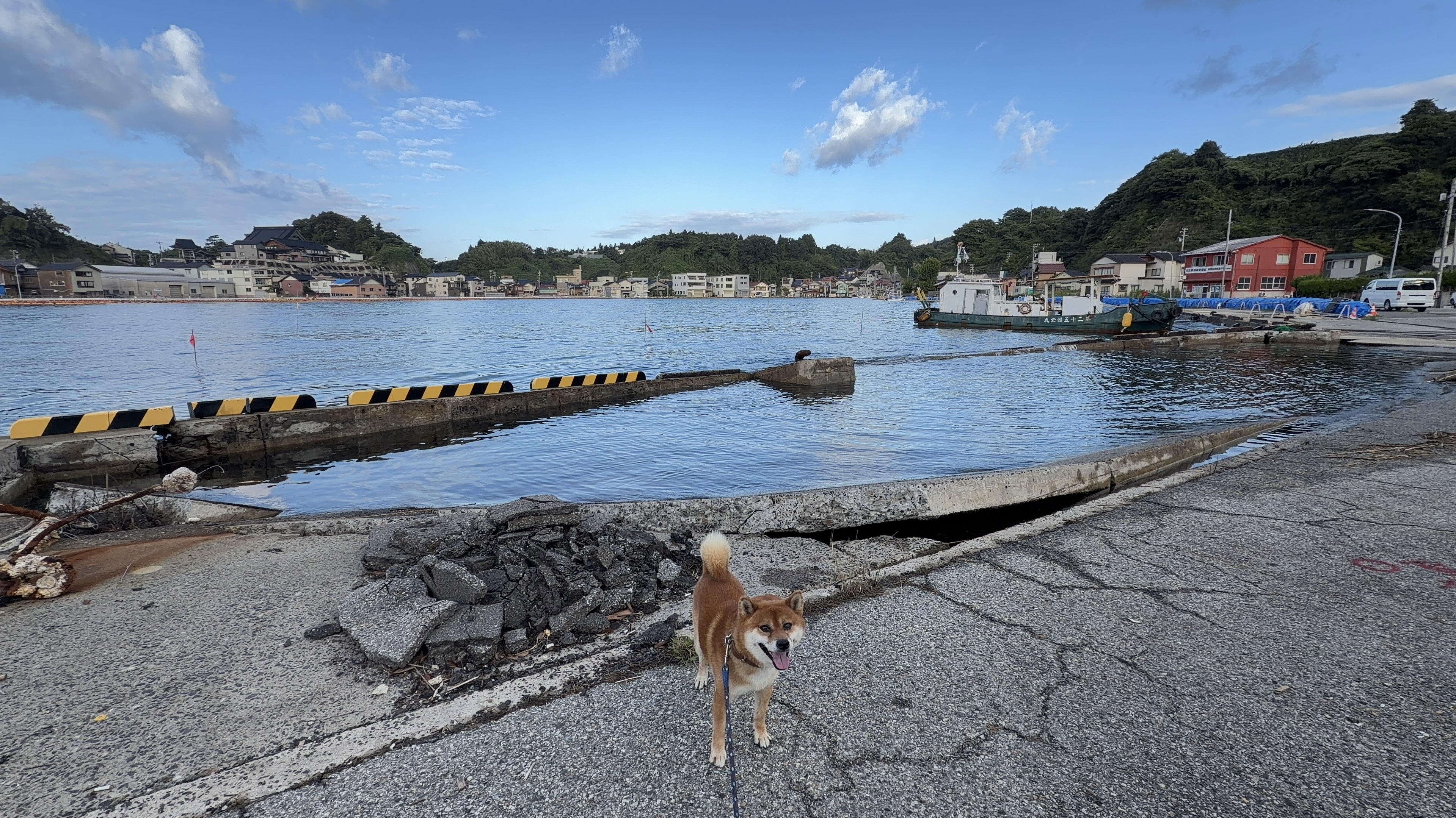 崩れたアスファルトのそばに立つたろーさん、冠水した岸壁を背に