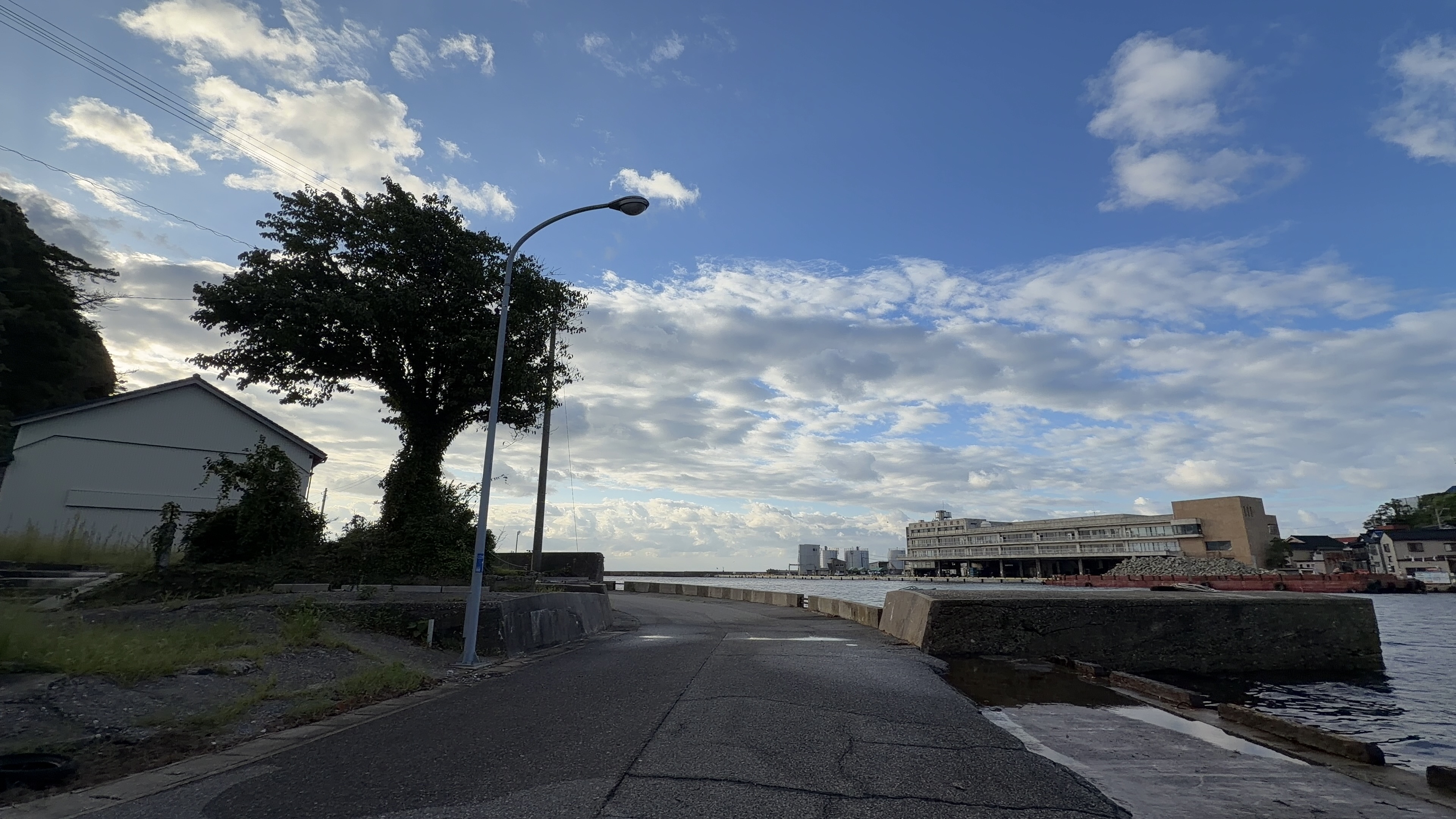 街灯と大きな木、遠くに見える建物群