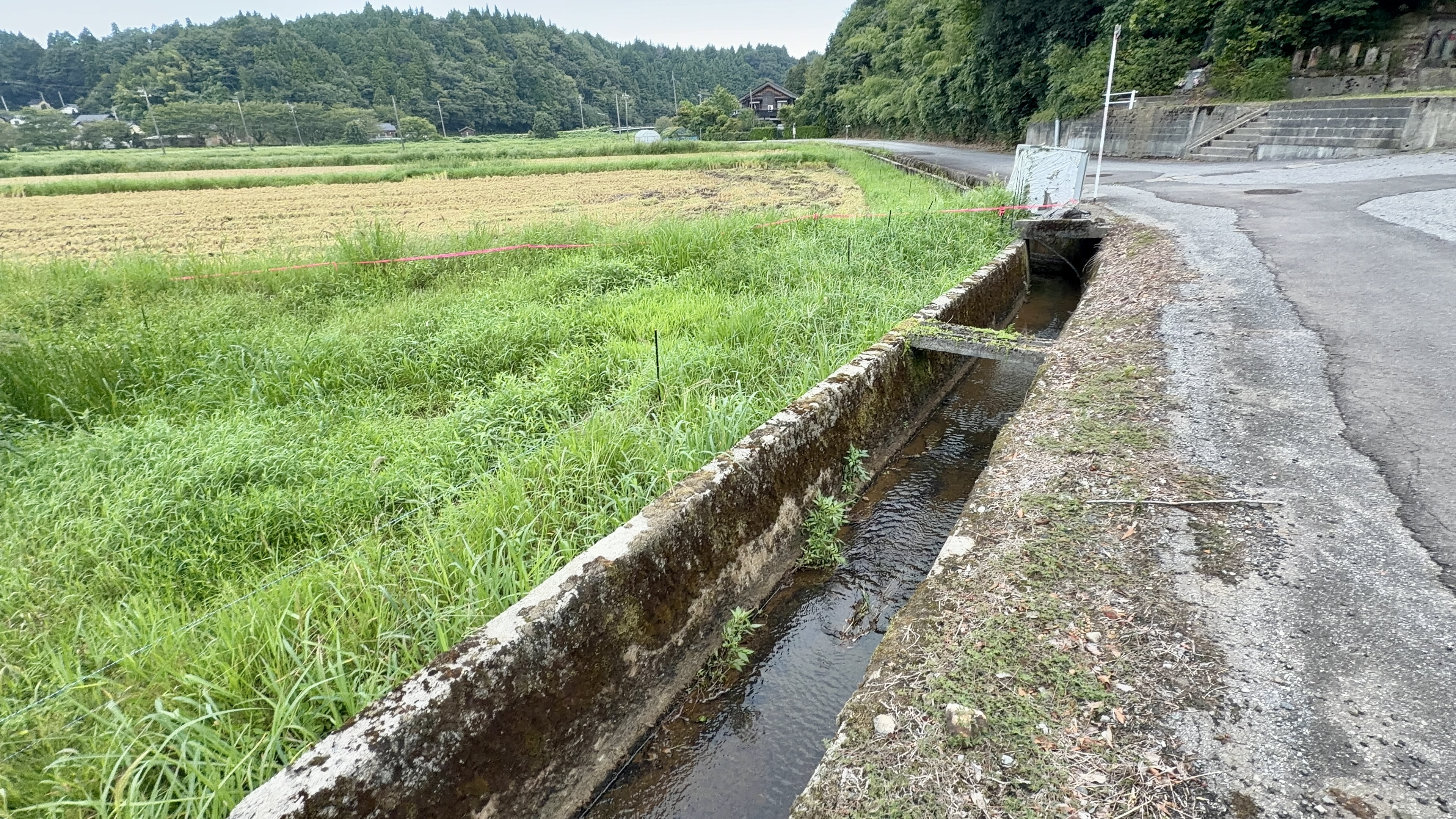 石積みの用水路を流れるきれいな水
